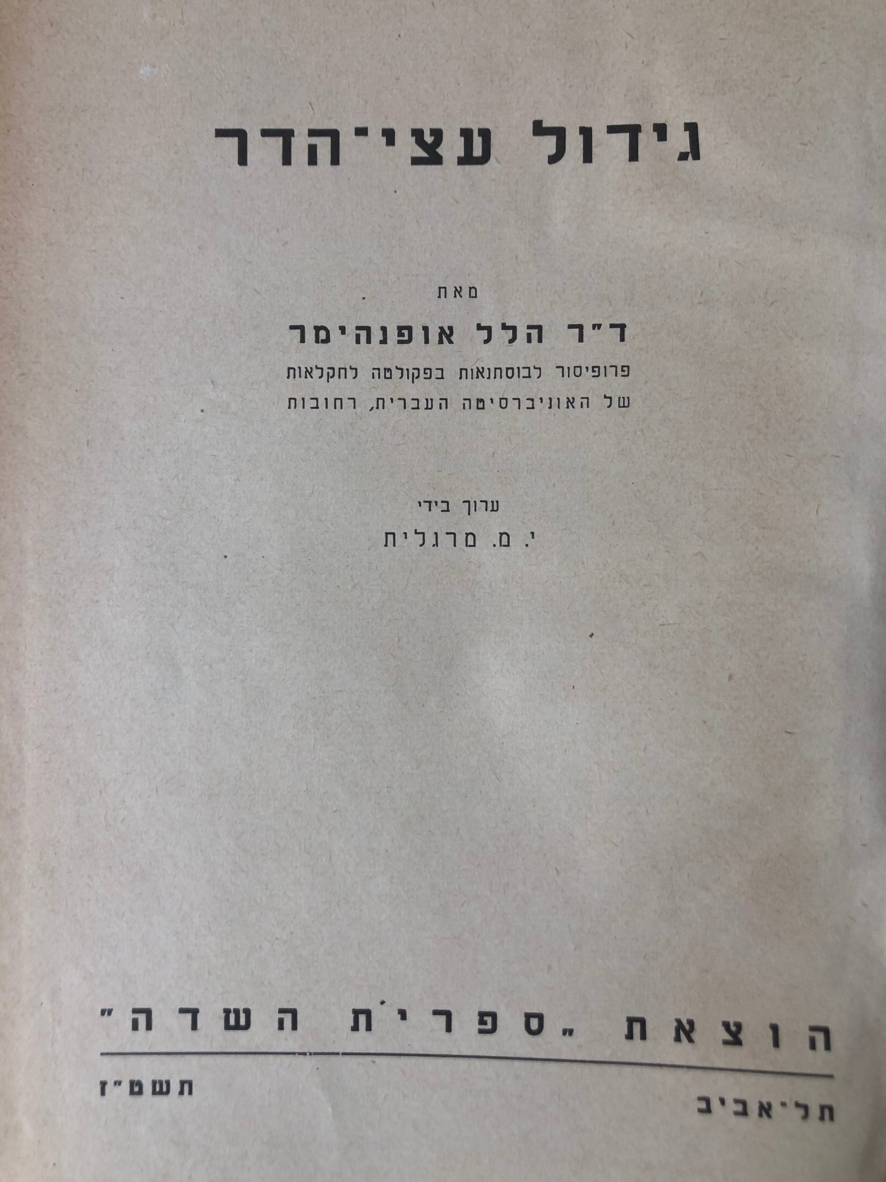 גידול עצי הדר