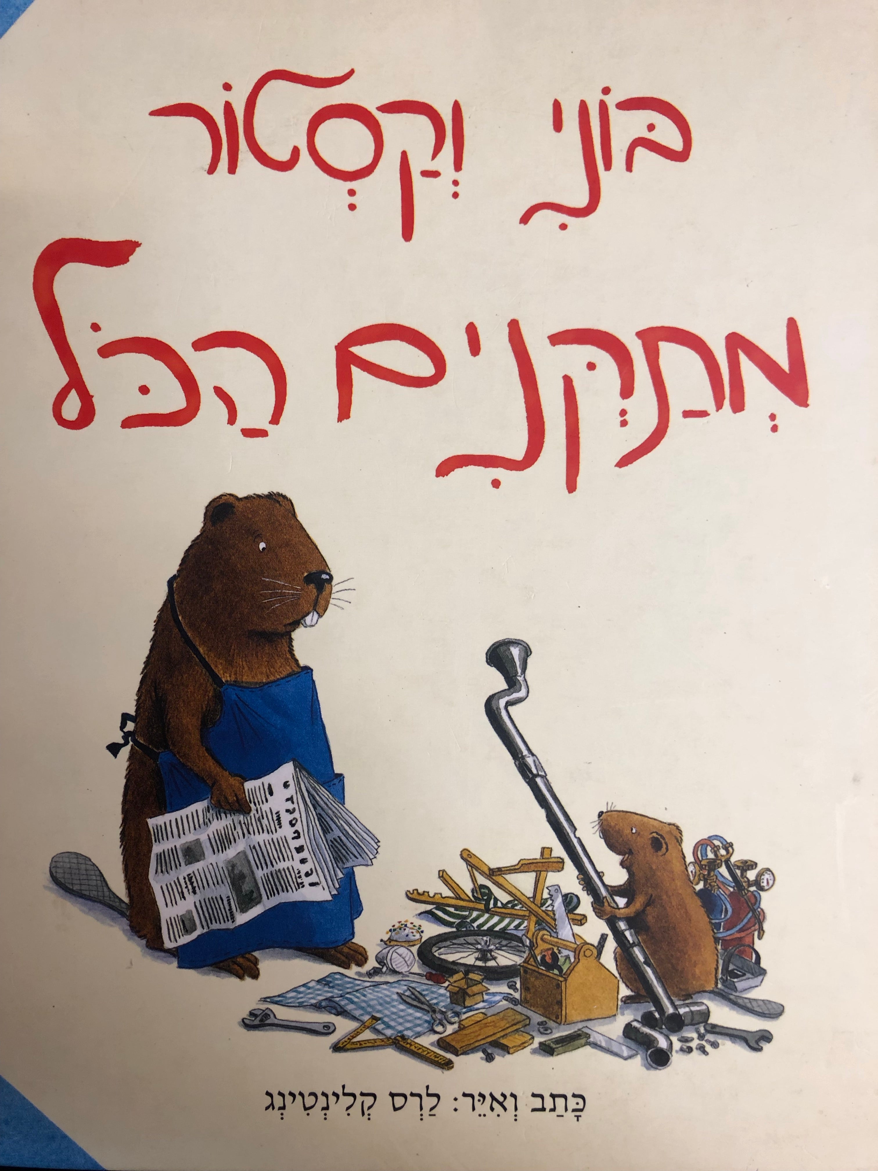 בוני וקסטור מתקנים הכל