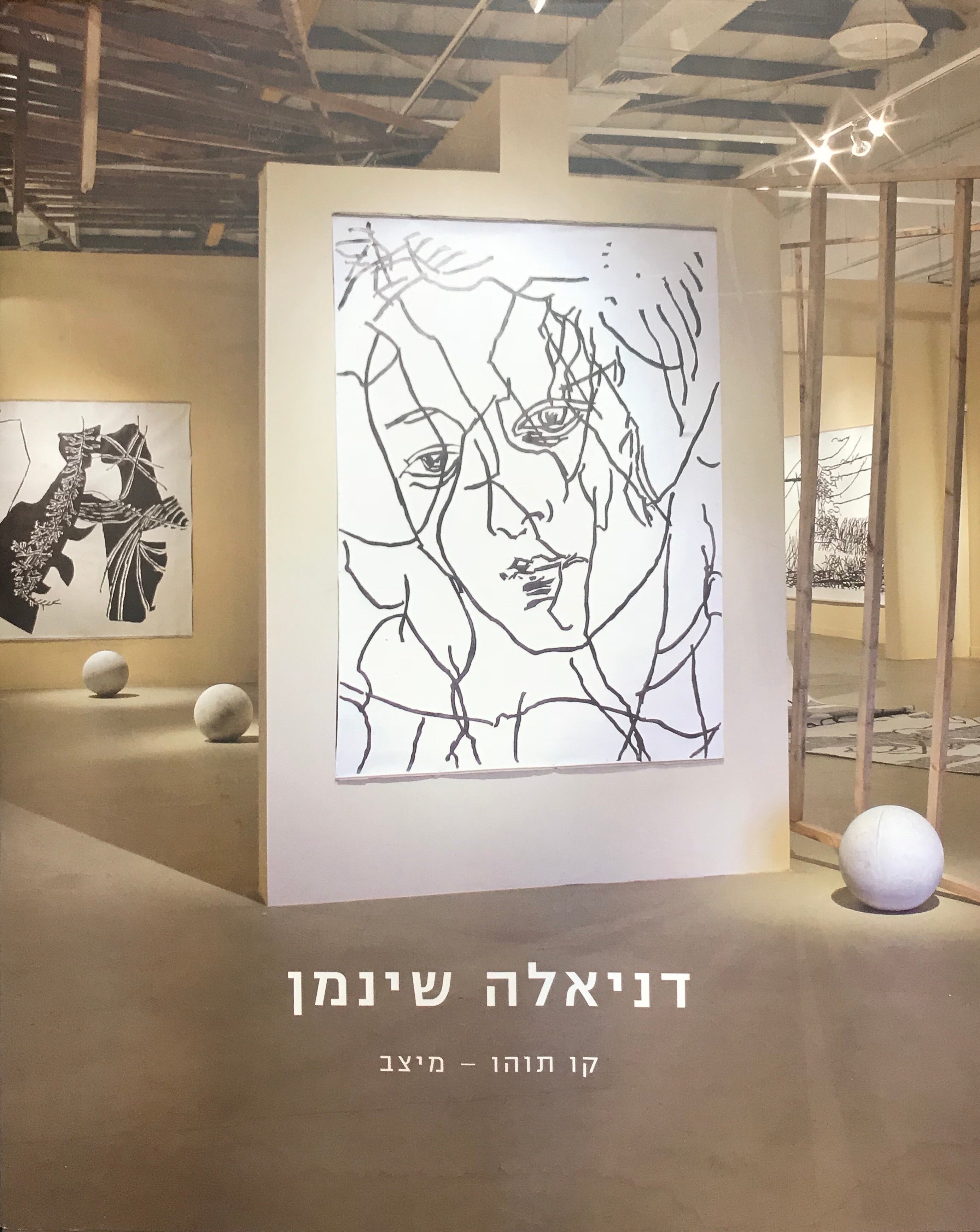 דניאלה שינמן/ קו תוהו- מיצב