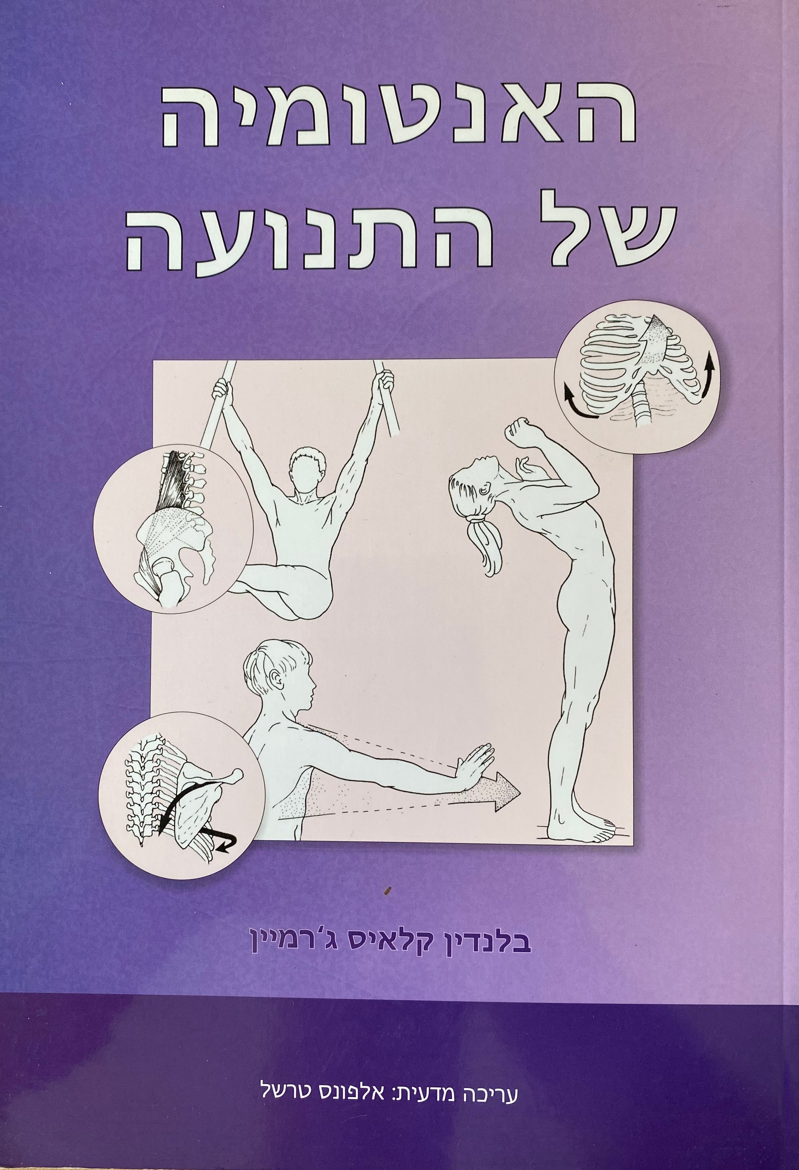 האנטומיה של התנועה