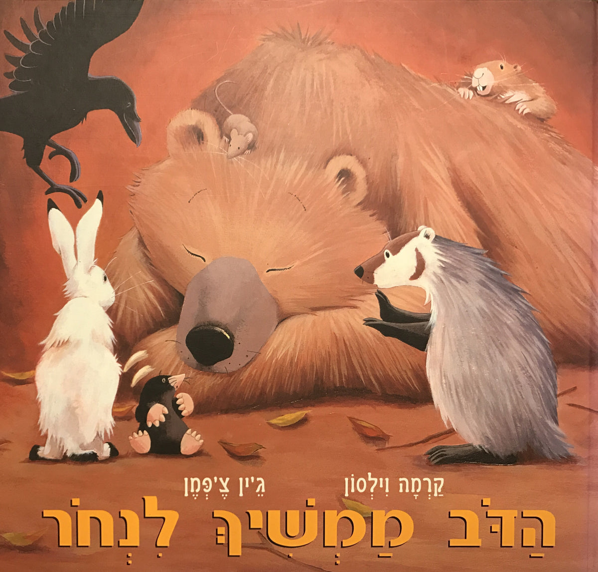 הדב ממשיך לנחר