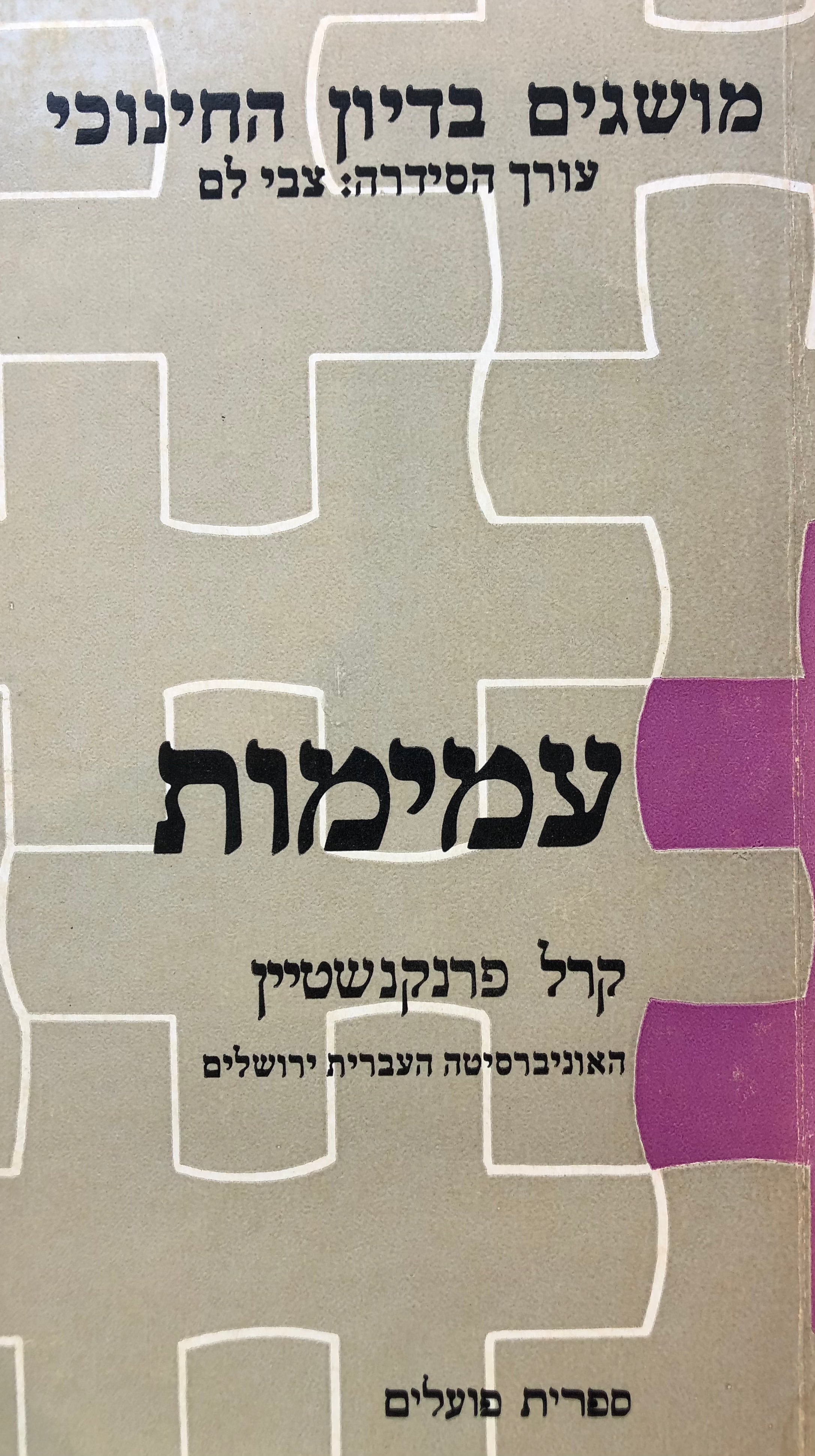 עמימות / מושגים בדיון החינוכי