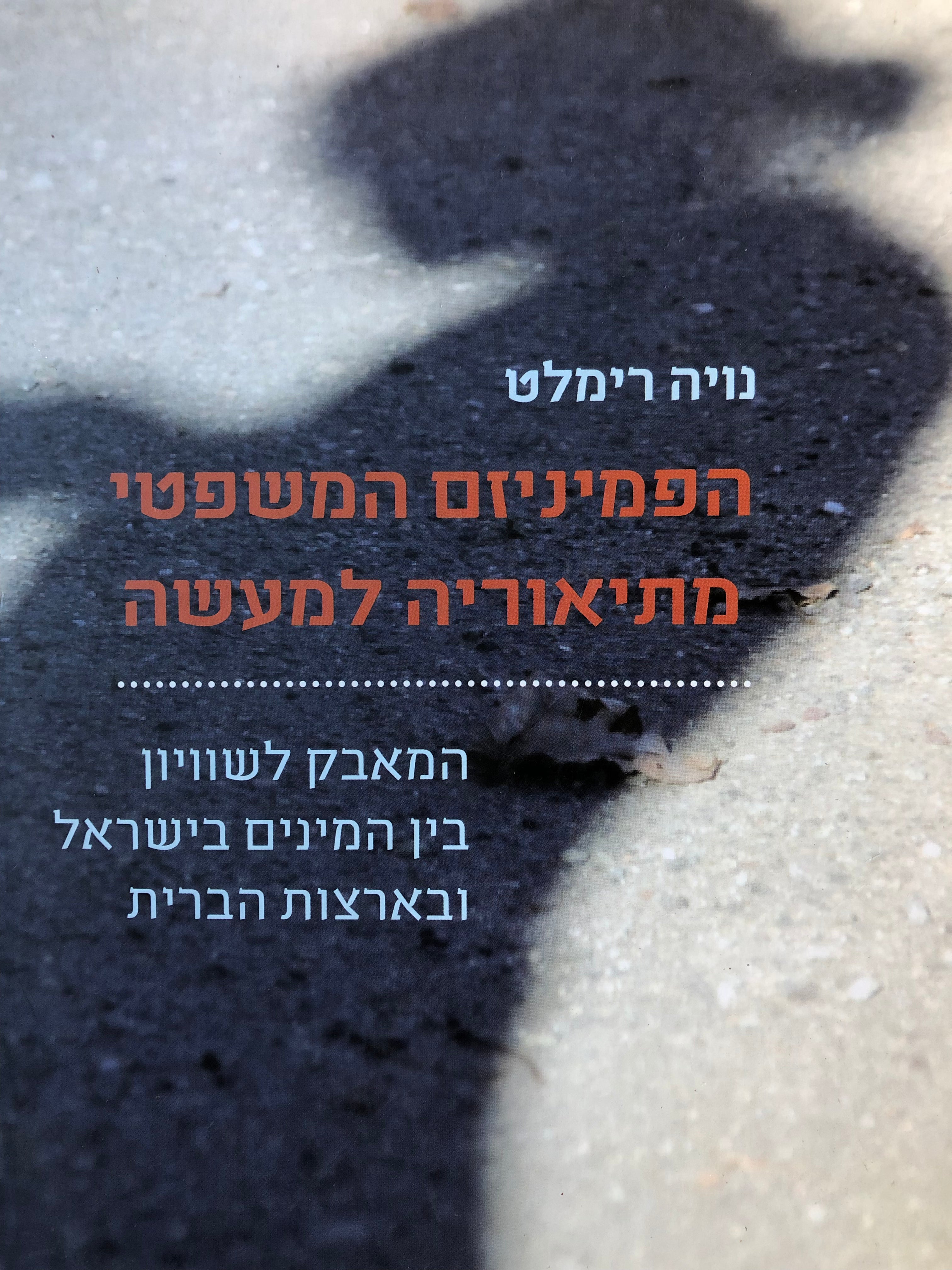 הפמיניזם המשפטי מתיאוריה למעשה/ המאבק לשוויון בין המינים בישראל ובארצות הברית