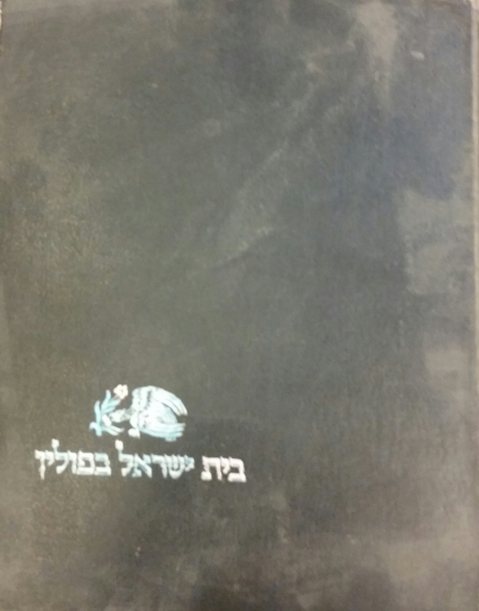 בית ישראל בפולין / מימים ראשונים ועד לימות החורבן / בשני כרכים