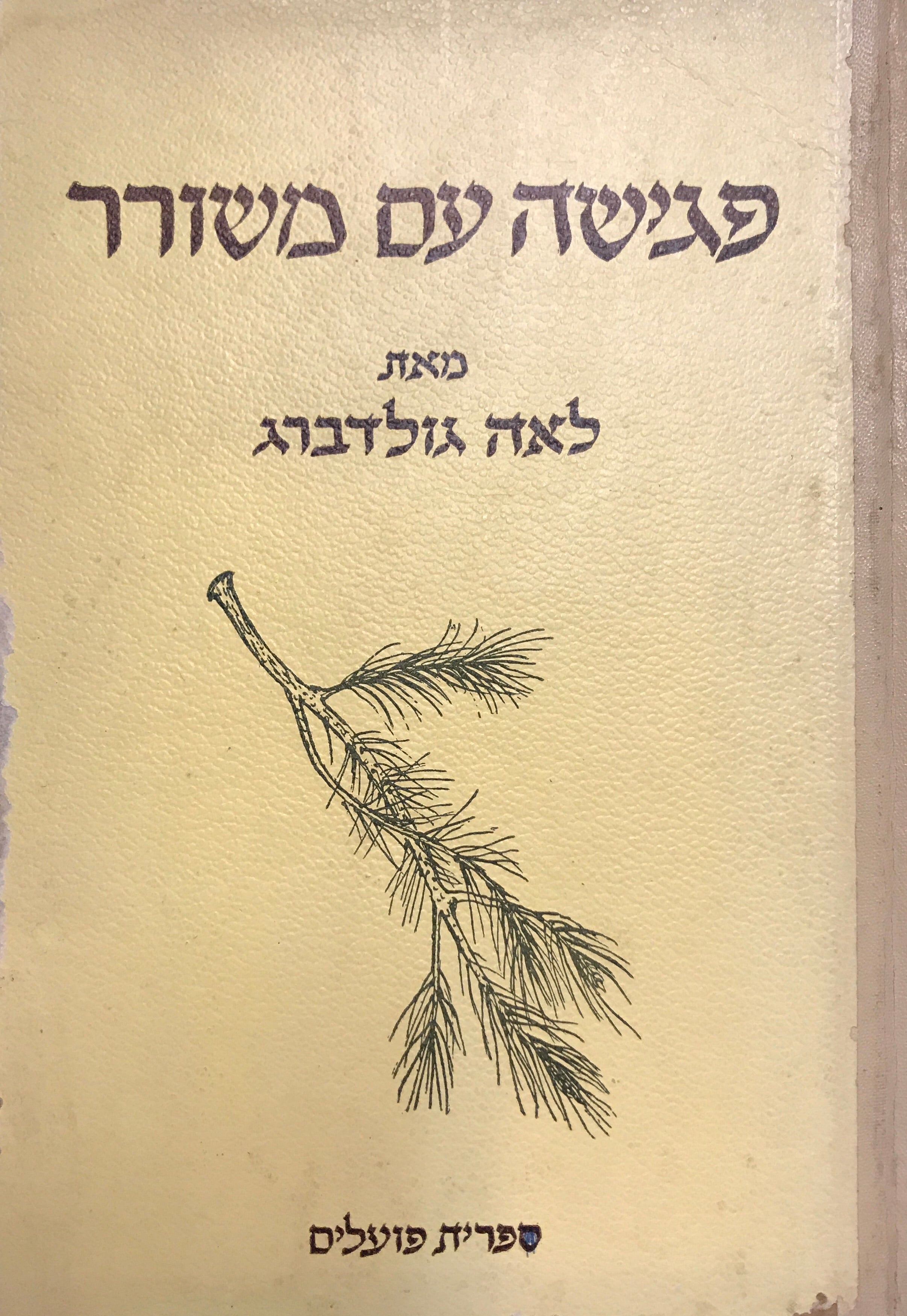 פגישה עם משורר / על אברהם בן-יצחק סונה