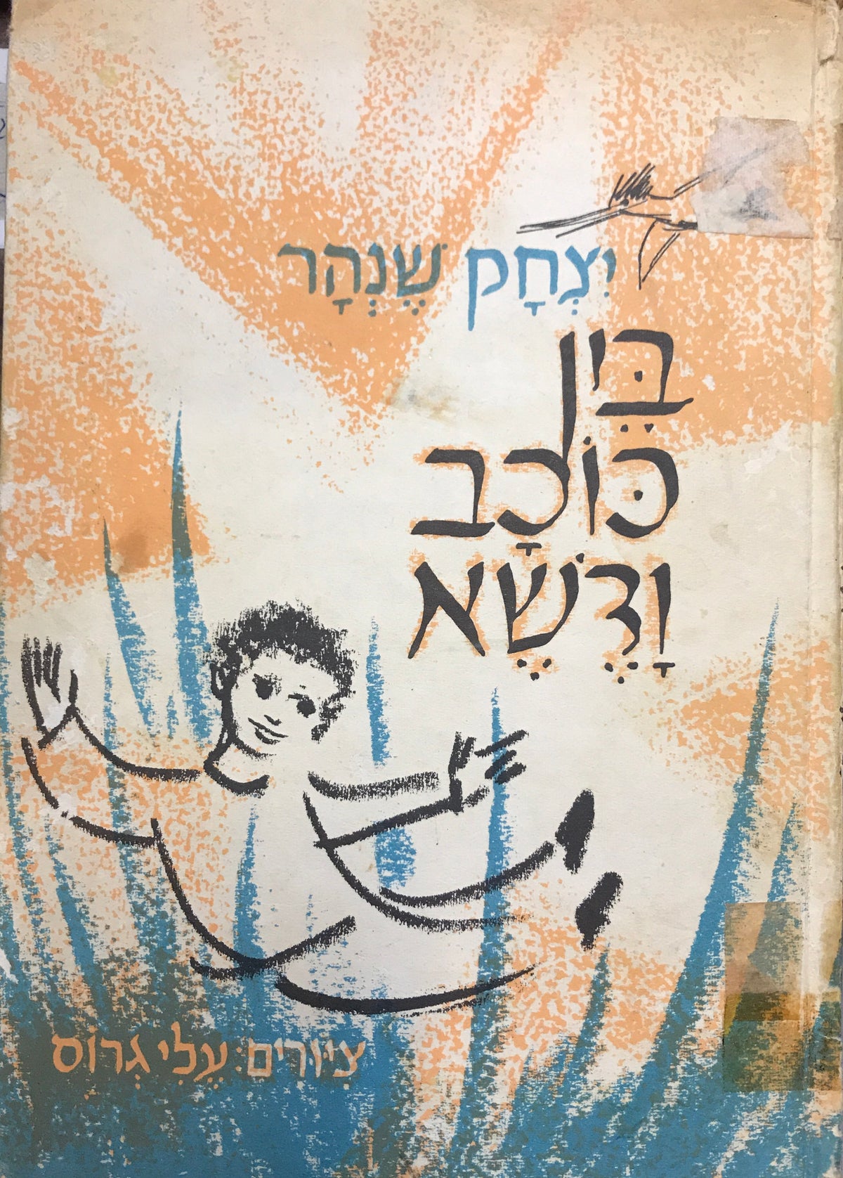 בין כוכב ודשא / ציורים: עלי גרוס