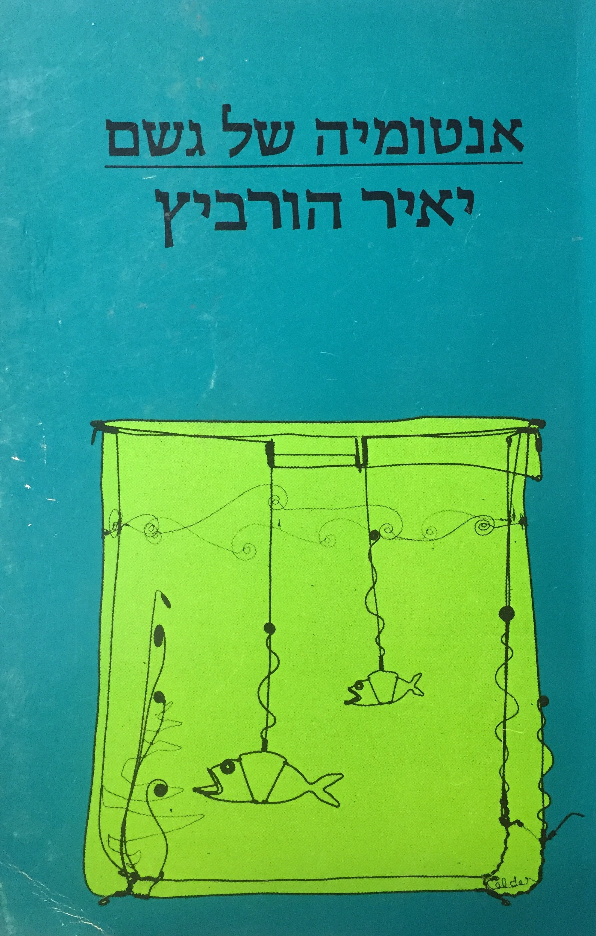 אנטומיה של גשם