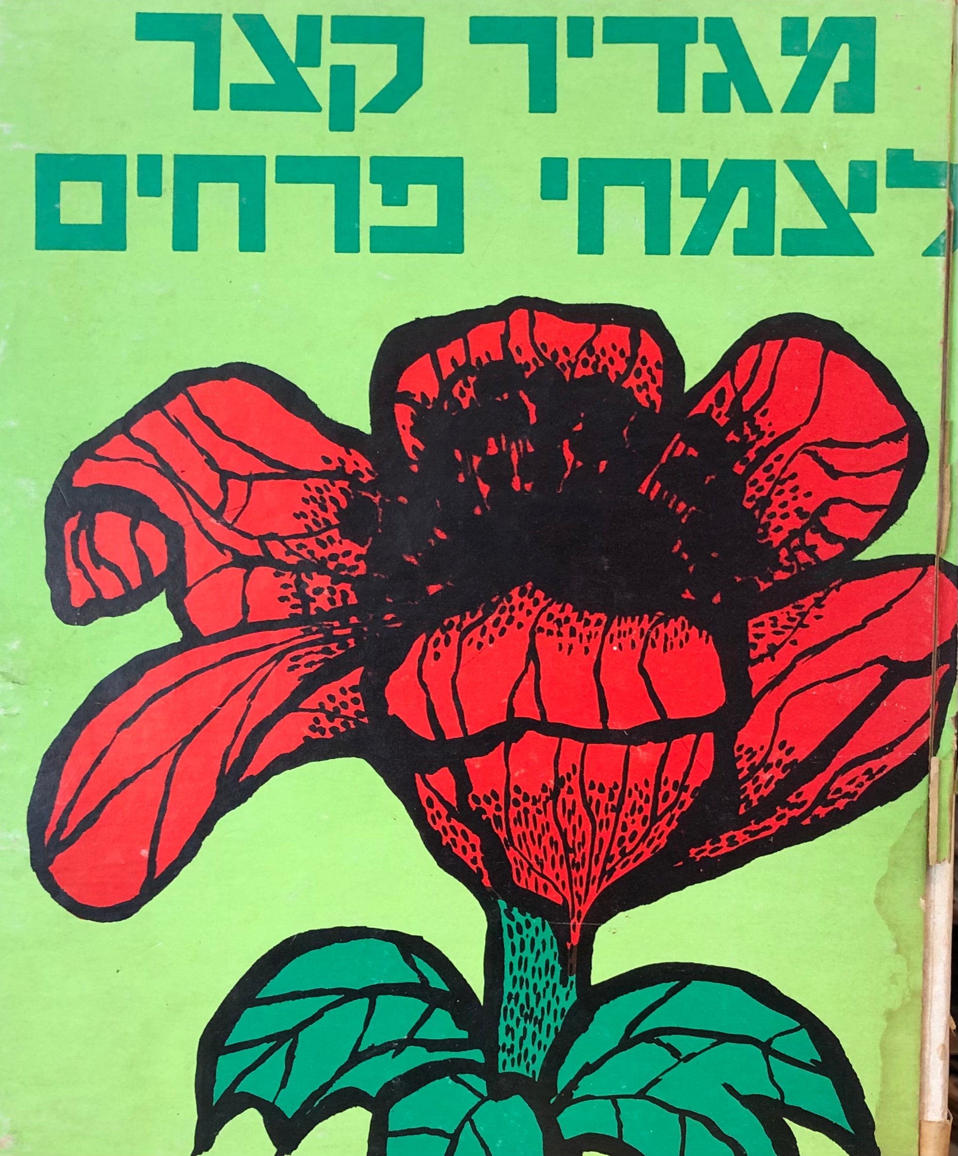 מגדיר קצר לצמחי פרחים