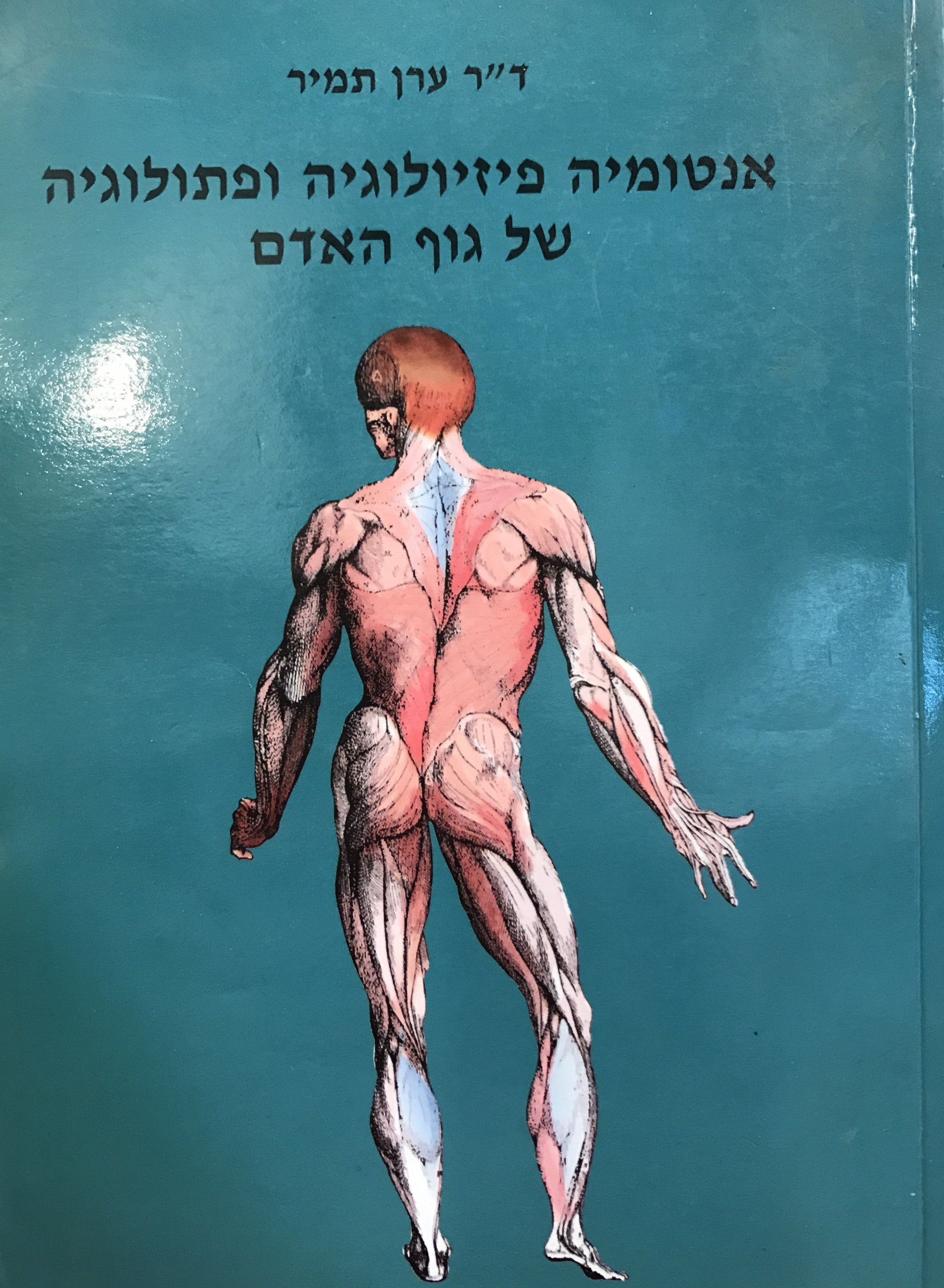 אנטומיה פיזיולוגיה ופתולוגיה של גוף האדם / מהדורה רביעית