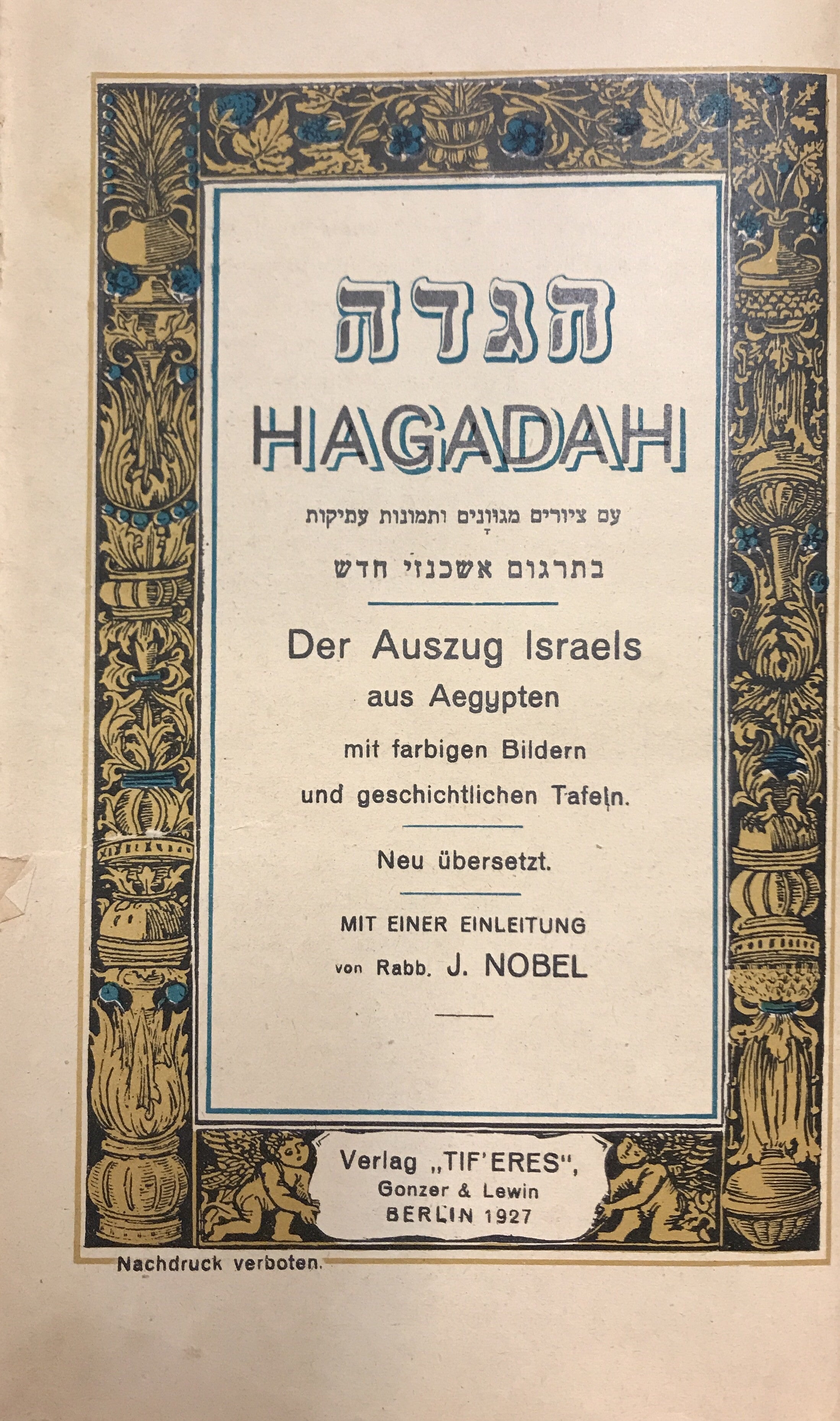 הגדה עם ציורים מגוונים ותמונות עתיקות בתרגום אשכנזי חדש/ HAGADAH DER AUSZUG ISRAELS