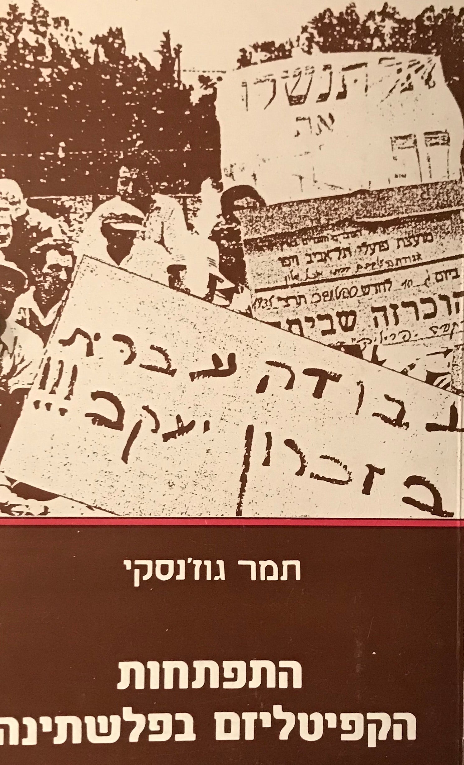 התפתחות הקפיטליזם בפלשתינה