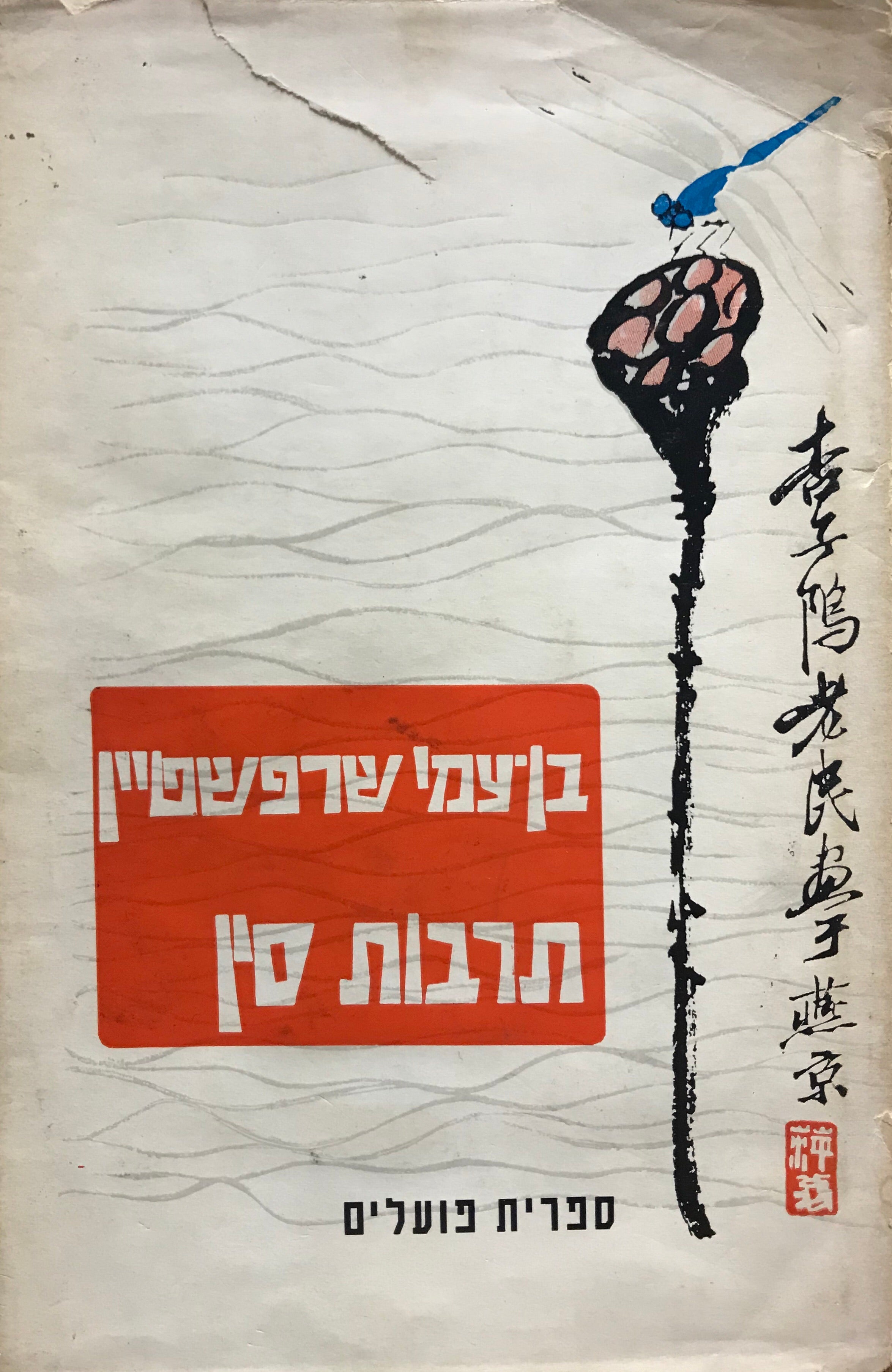 תרבות סין