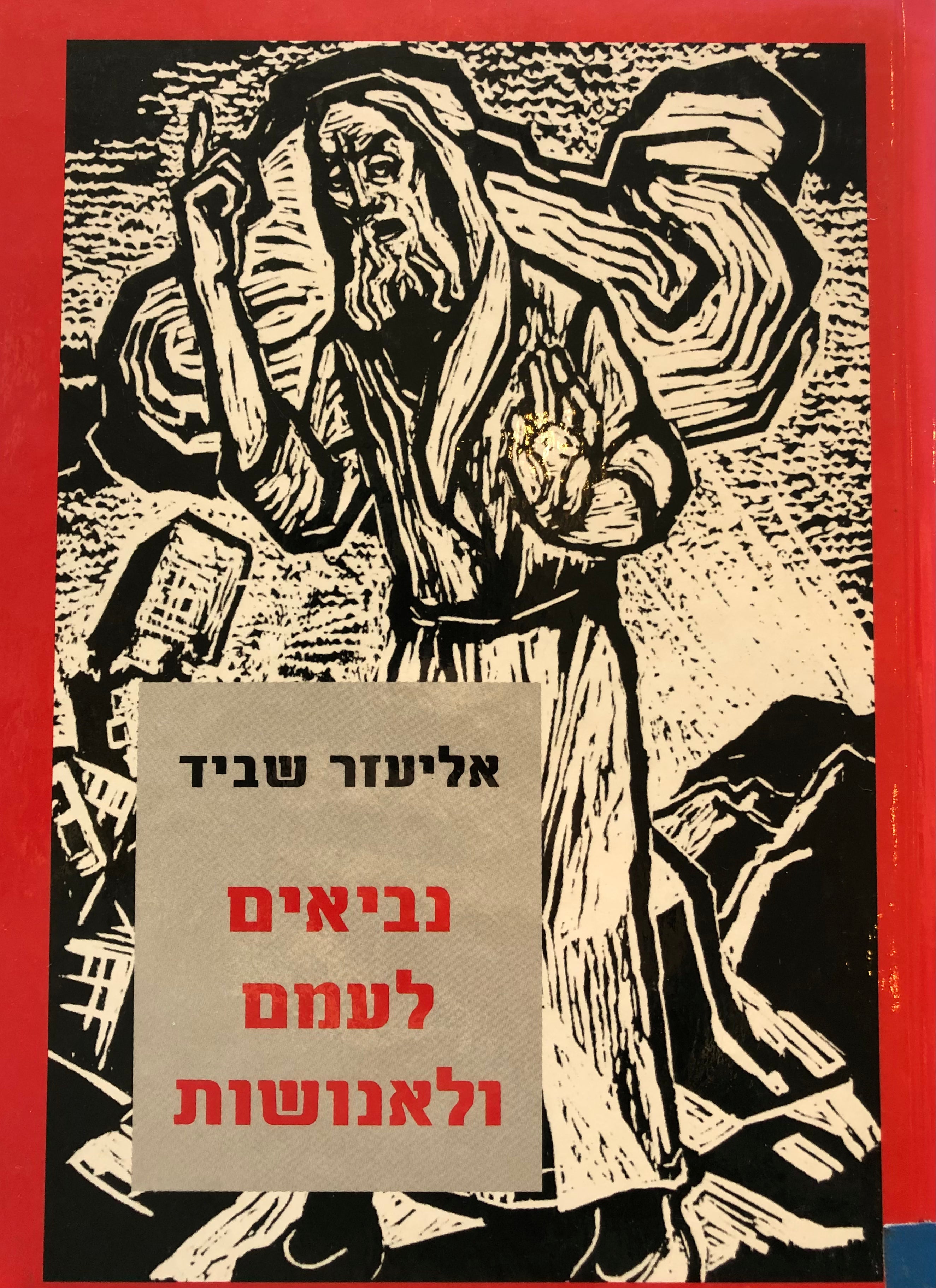 נביאים לעמם ולאנושות / נבואה ונביאים בהגות היהודית של המאה העשרים