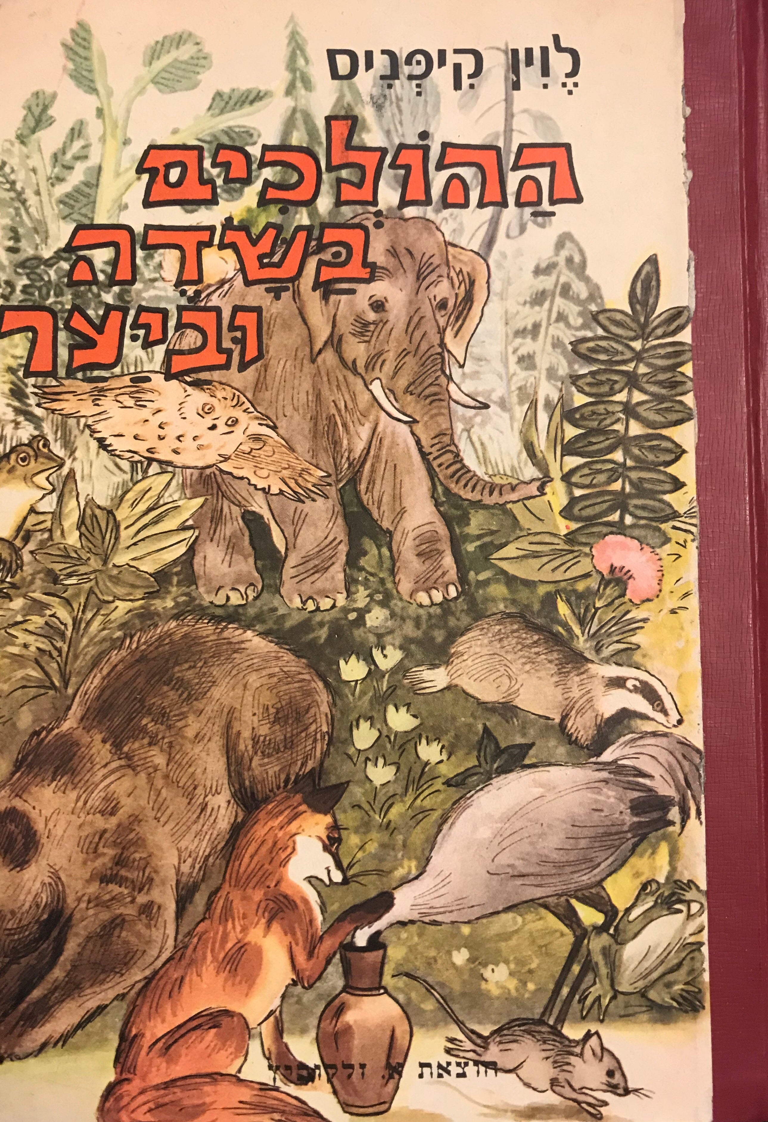 ההולכים בשדה וביער