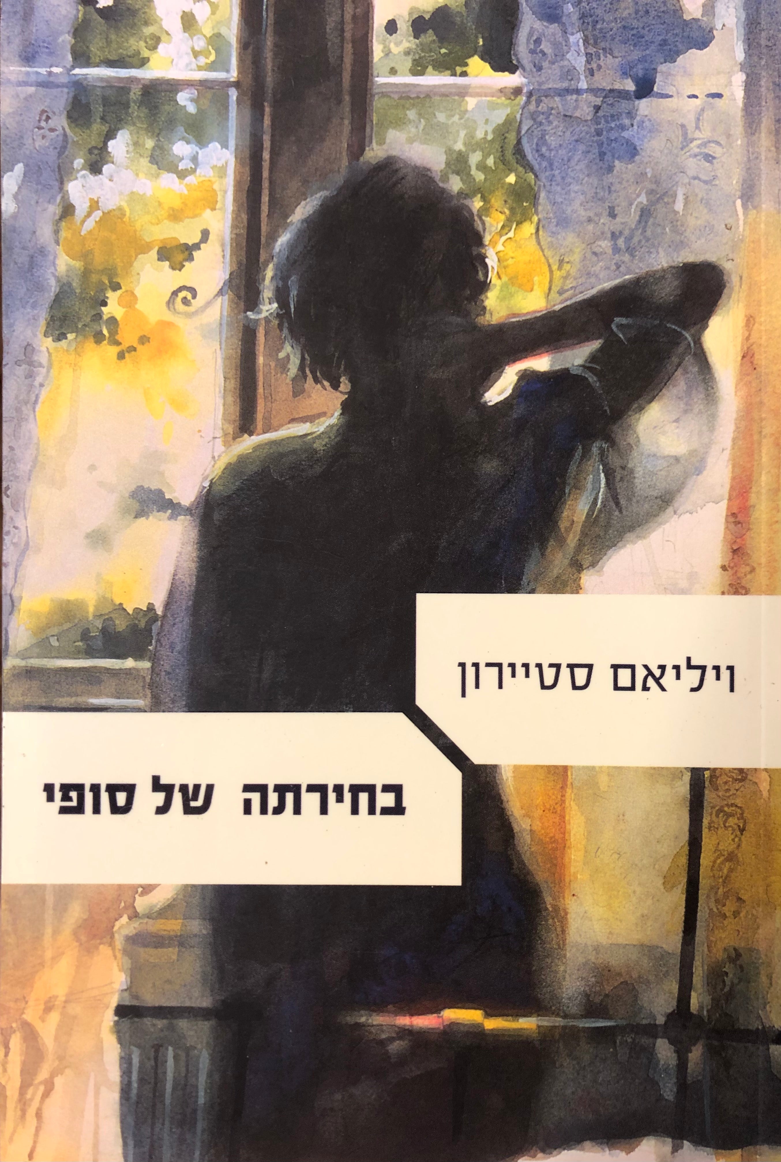בחירתה של סופי / מאנגלית: חיים איזק