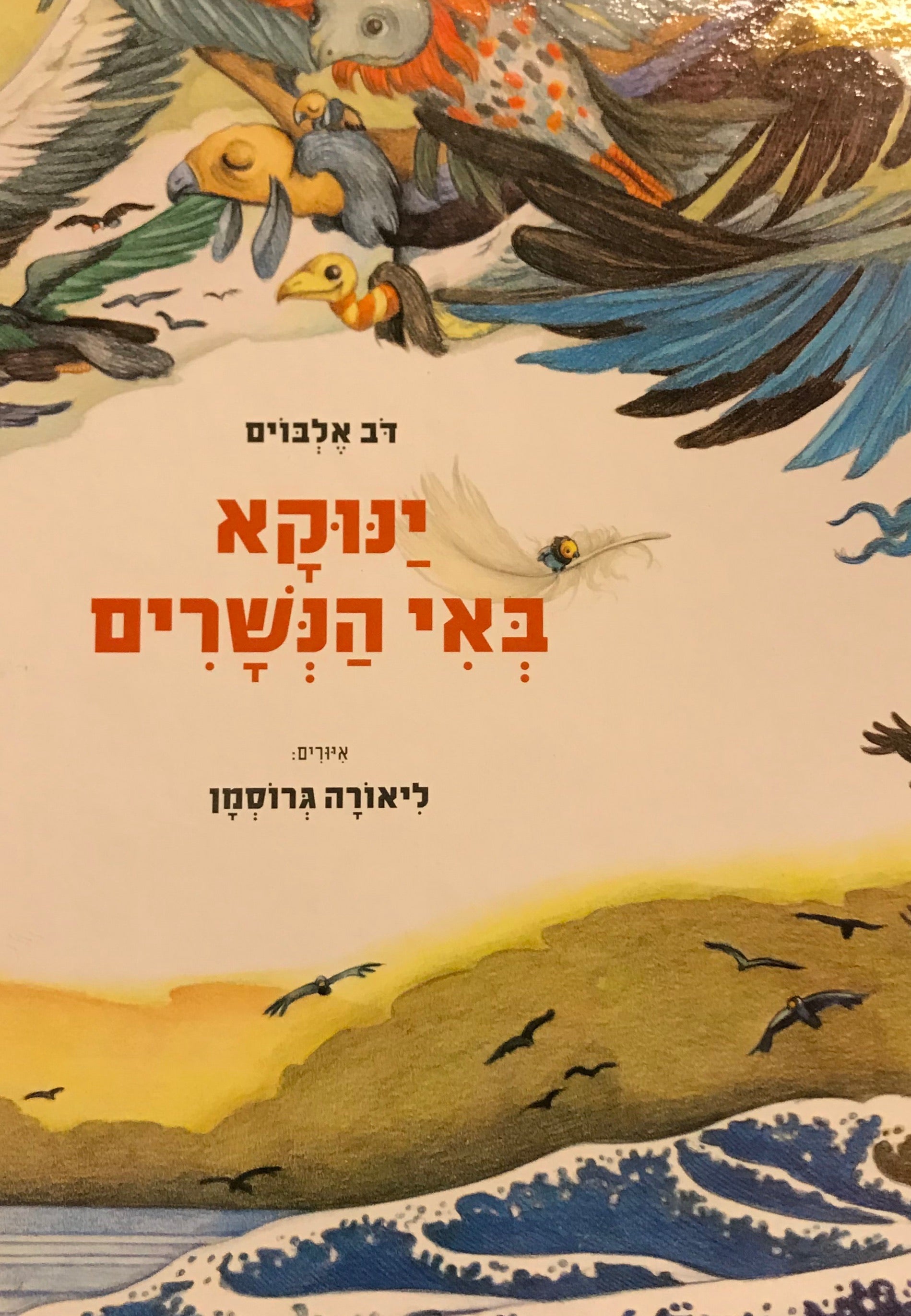 ינוקא באי הנשרים