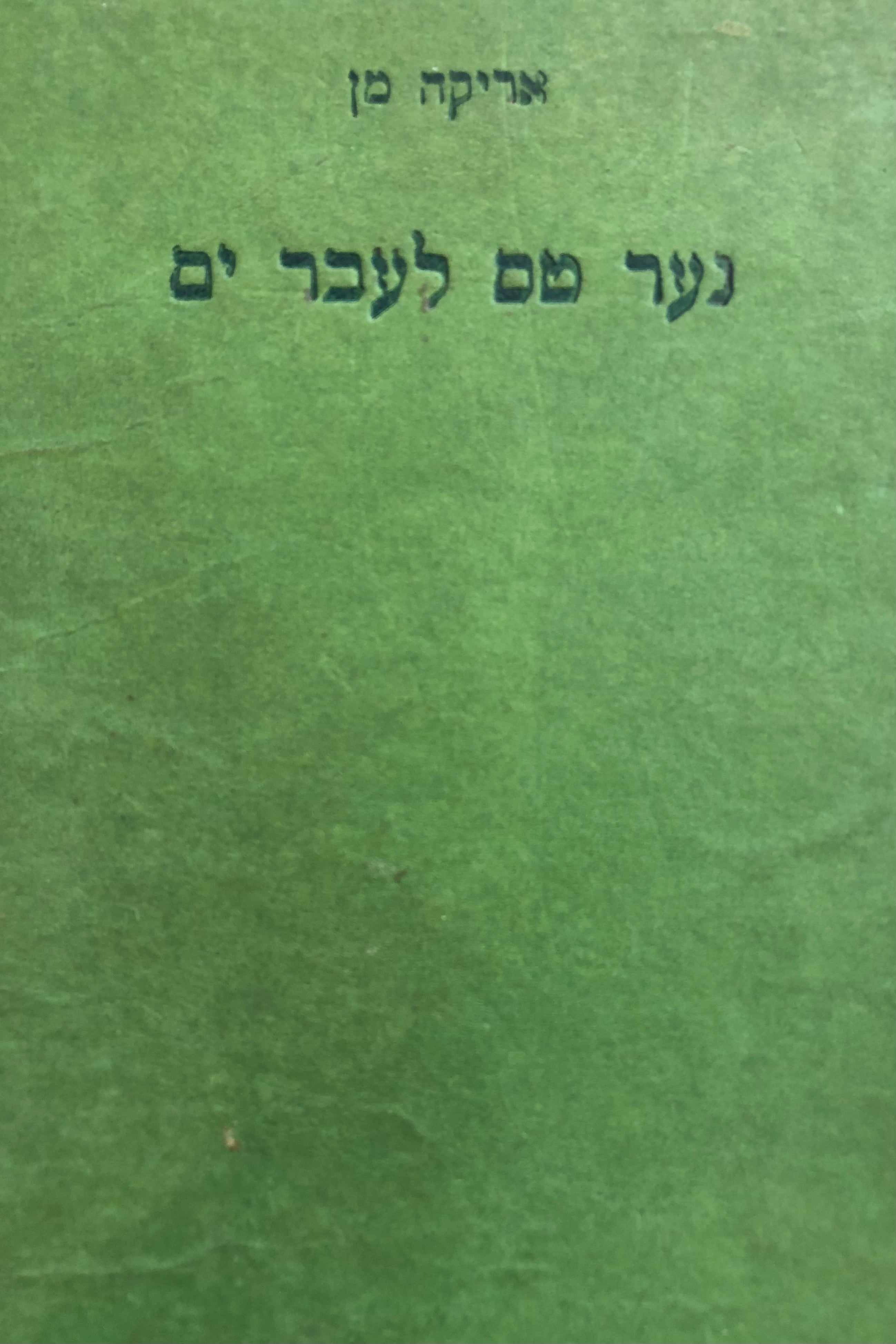 נער טס לעבר ים