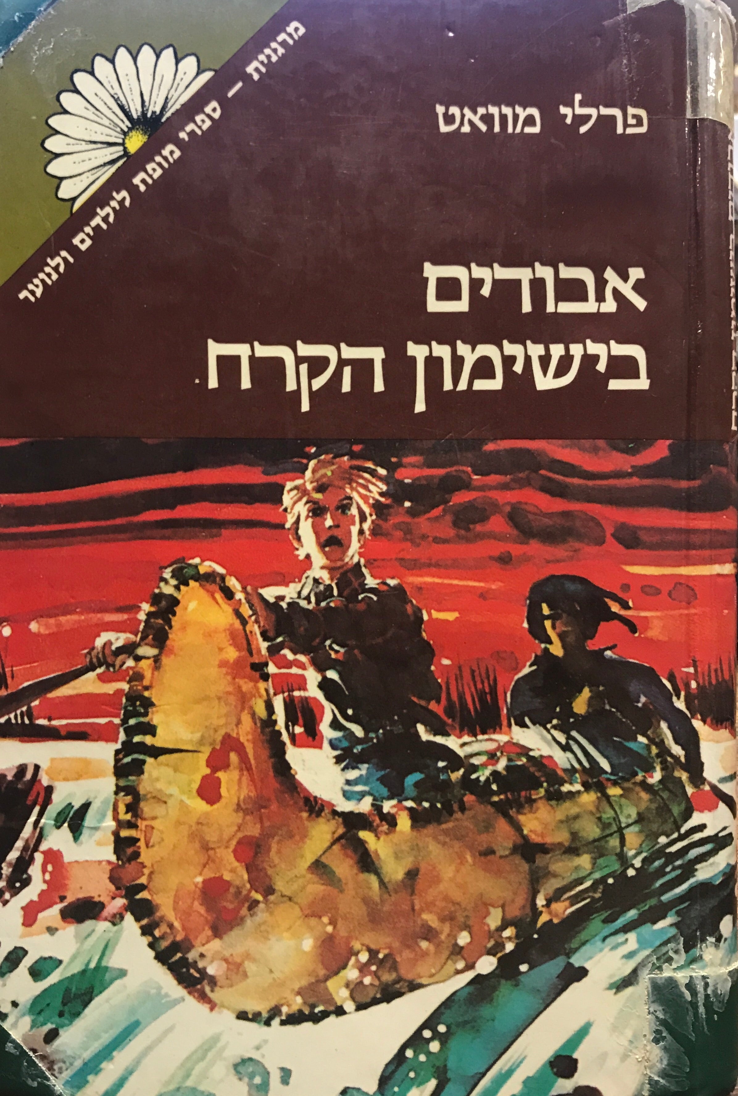 אבודים בישימון הקרח