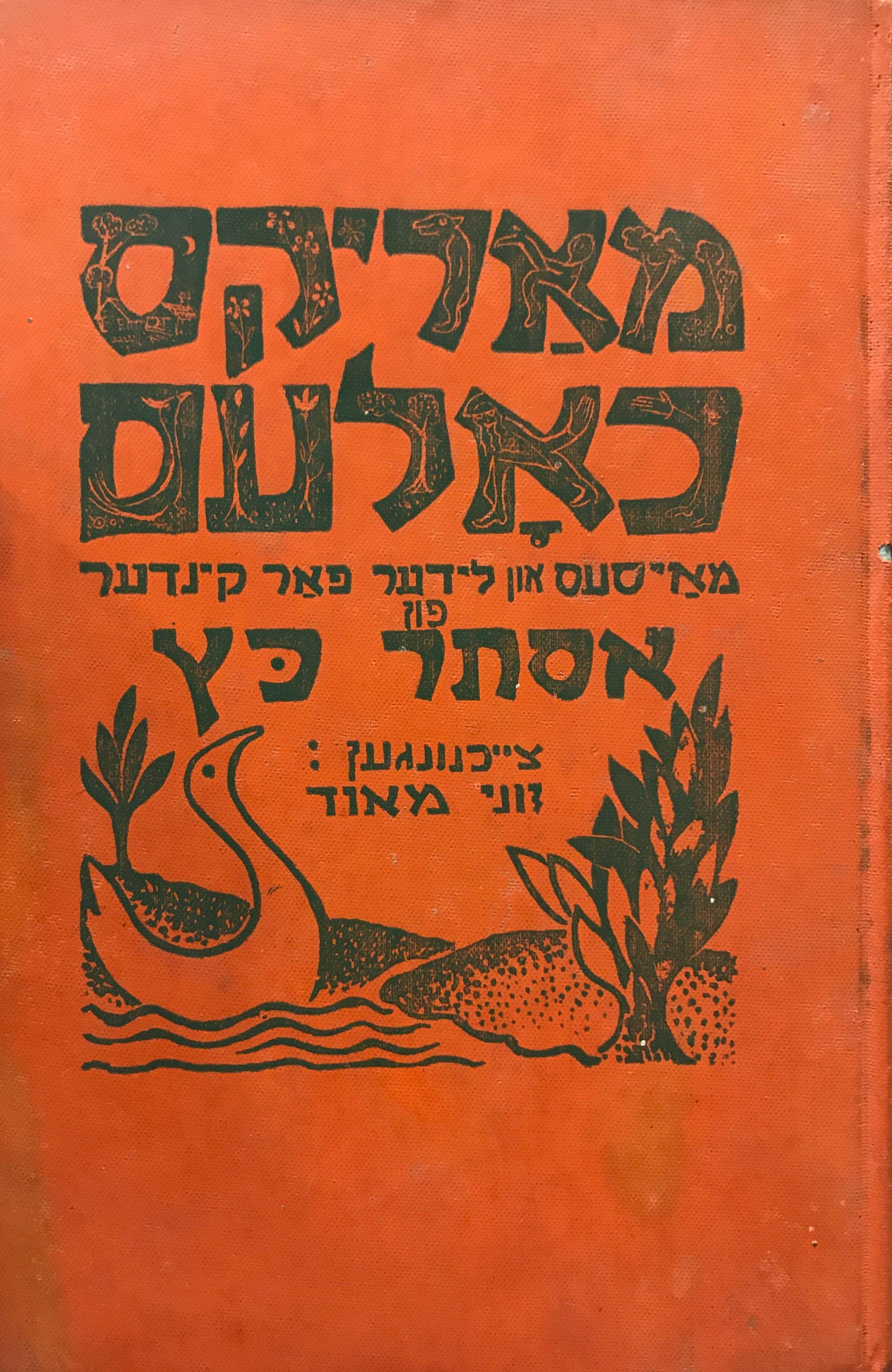 מאריקס כאלעם/ מאיסעס און לידער פאר קינדער