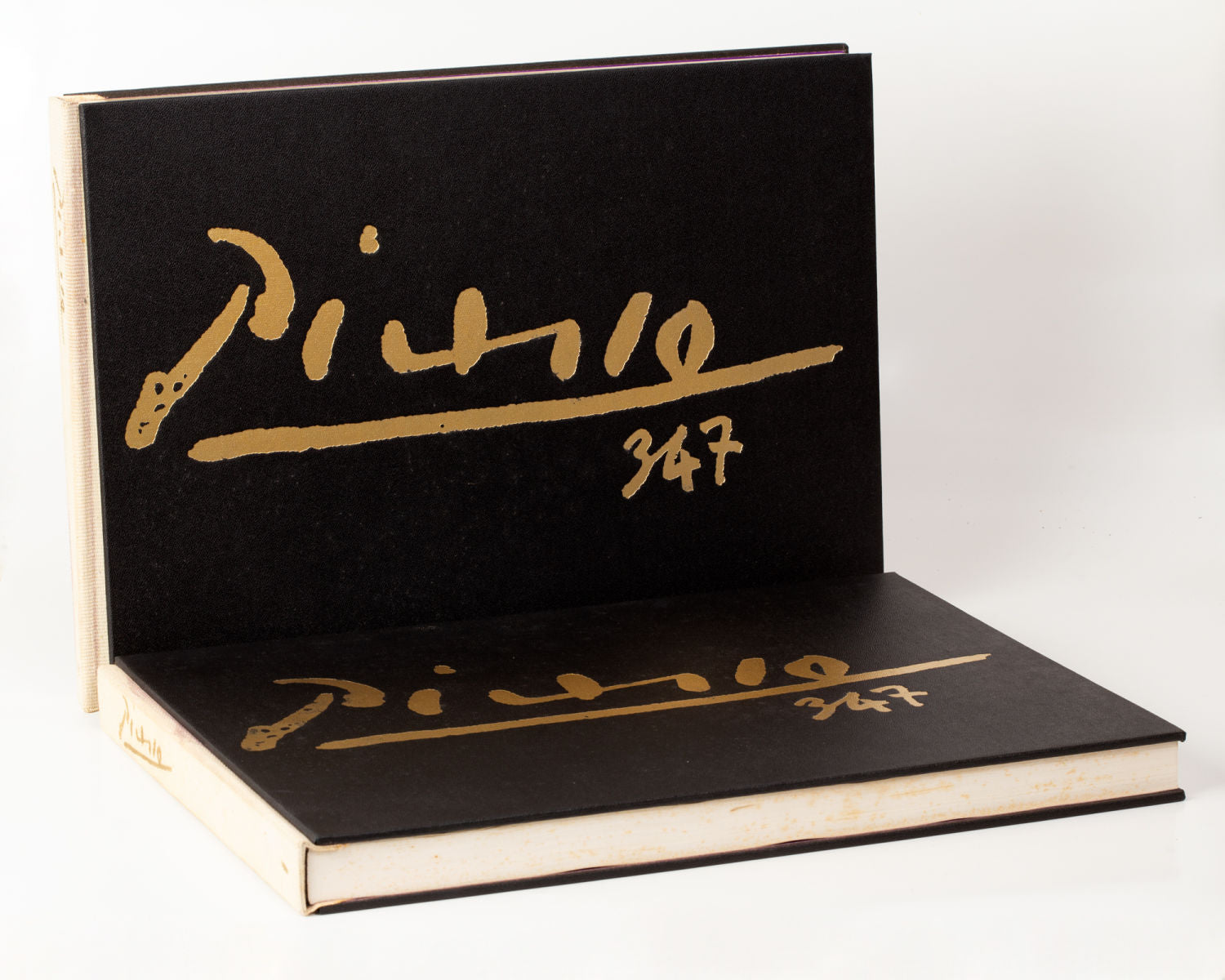 Picasso 347/ Two Volumes