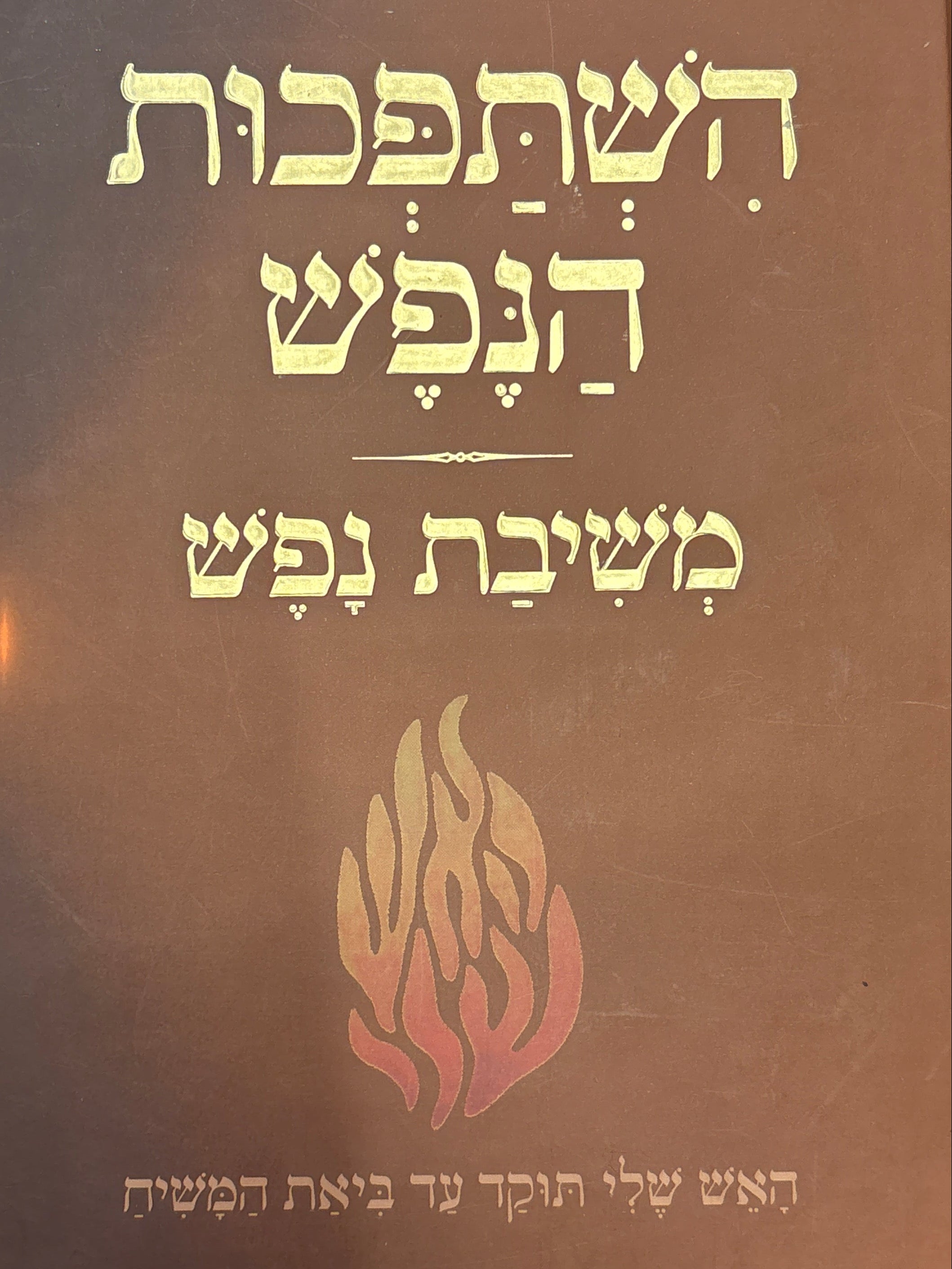 השתפכות הנפש / משיבת נפש