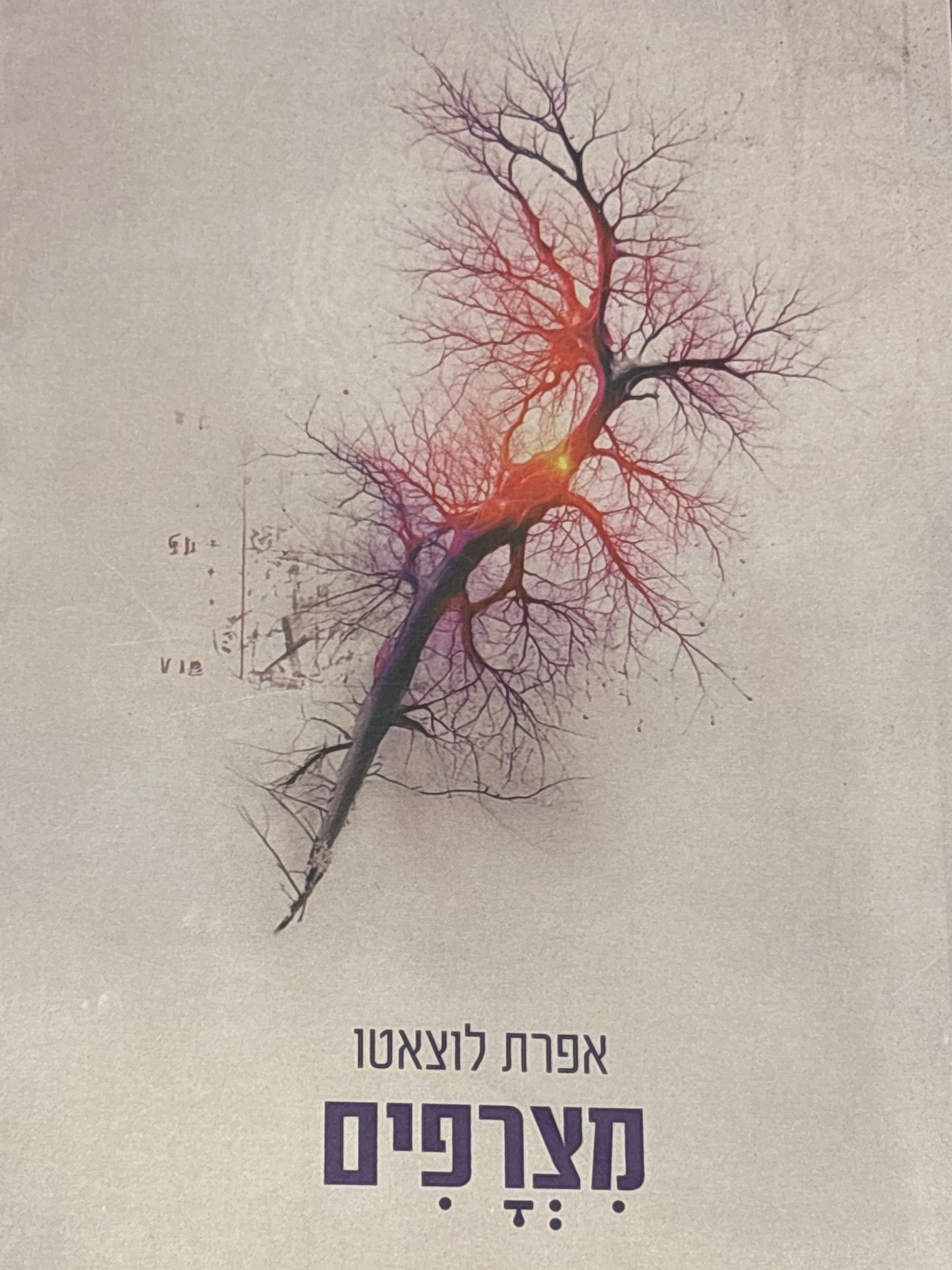 מצרפים