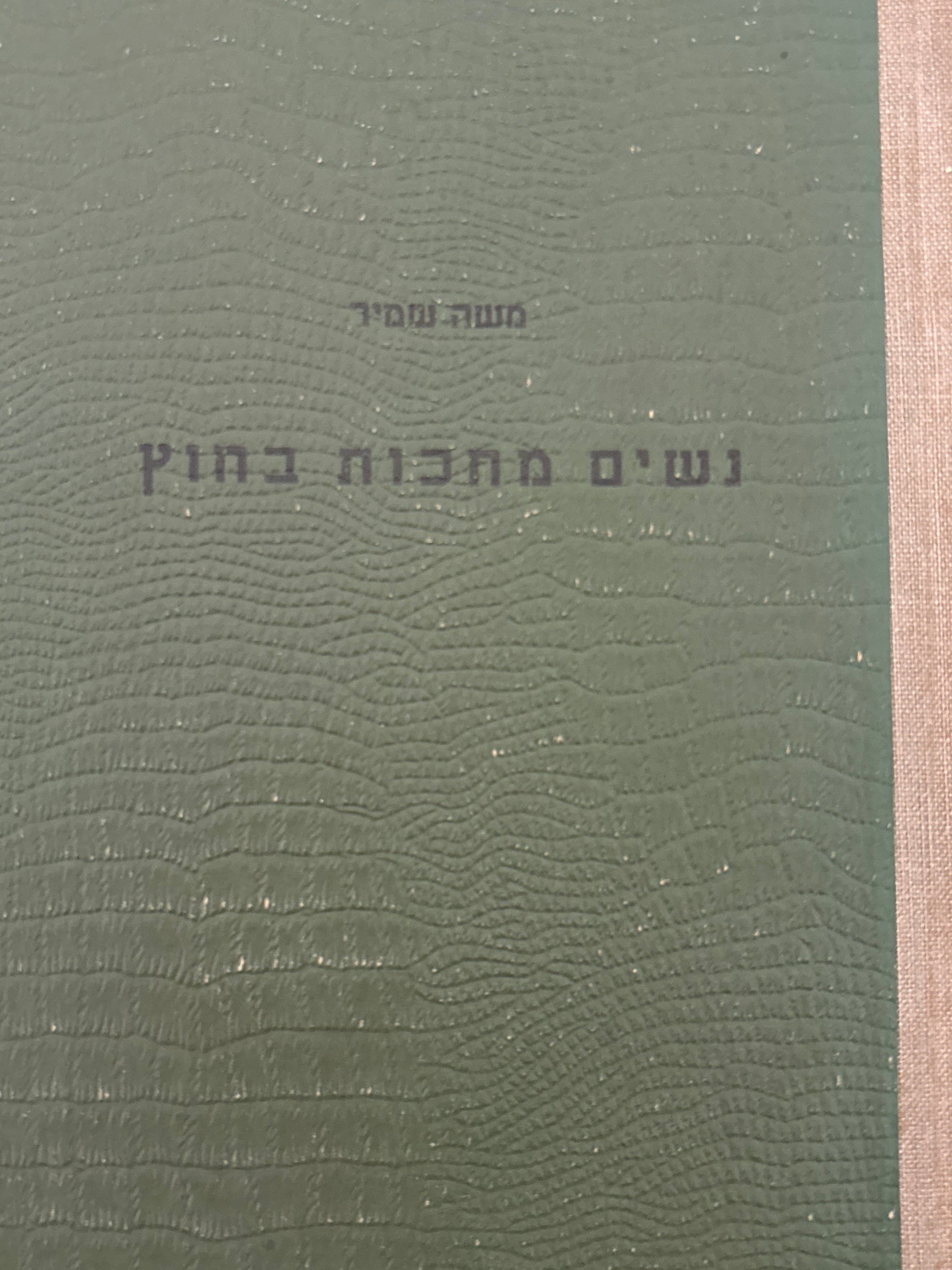 נשים מחכות בחוץ / י"ג סיפורים