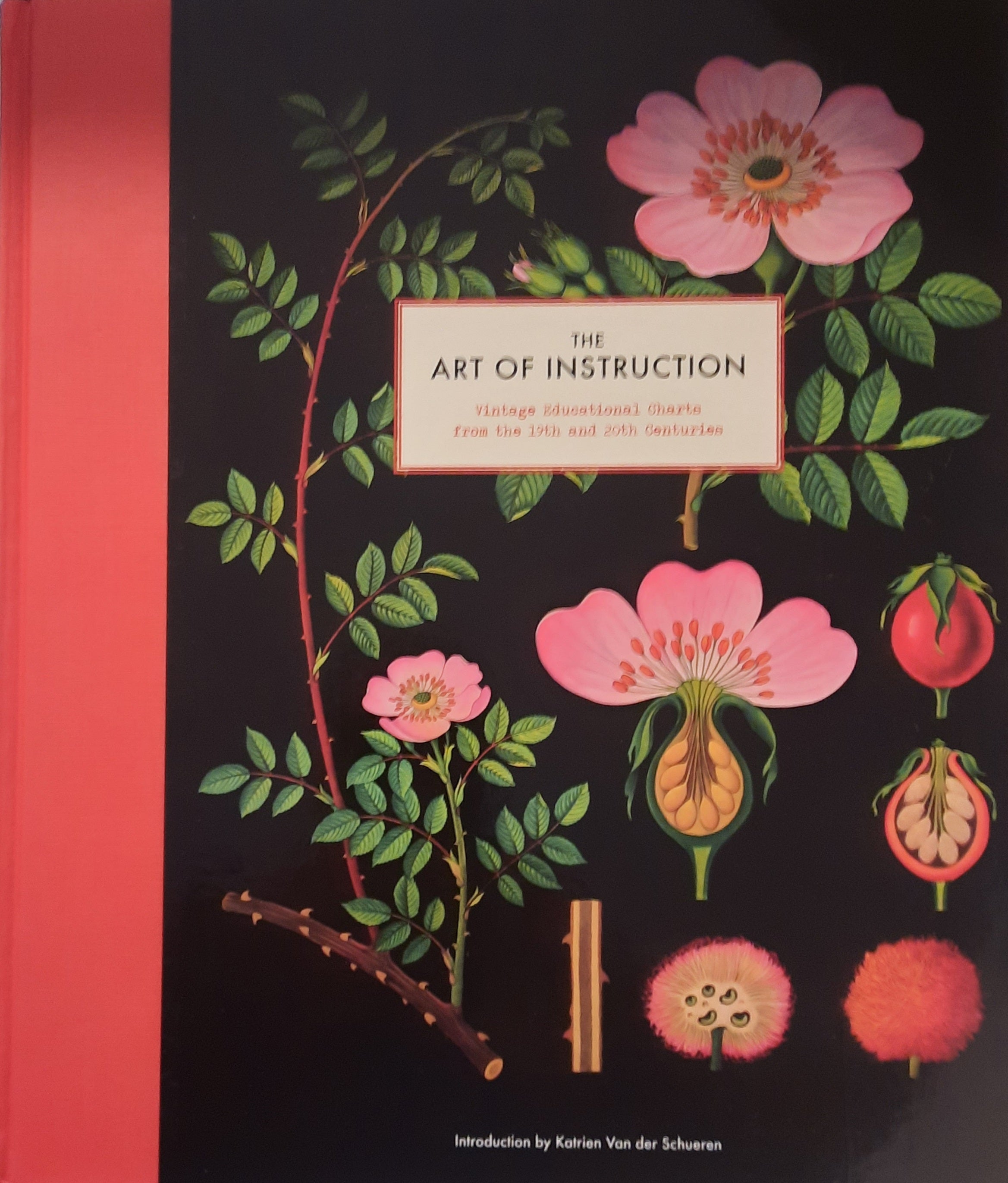 The Art of Instruction / Vintage Educational Charts from the 19th and 20th Centuries