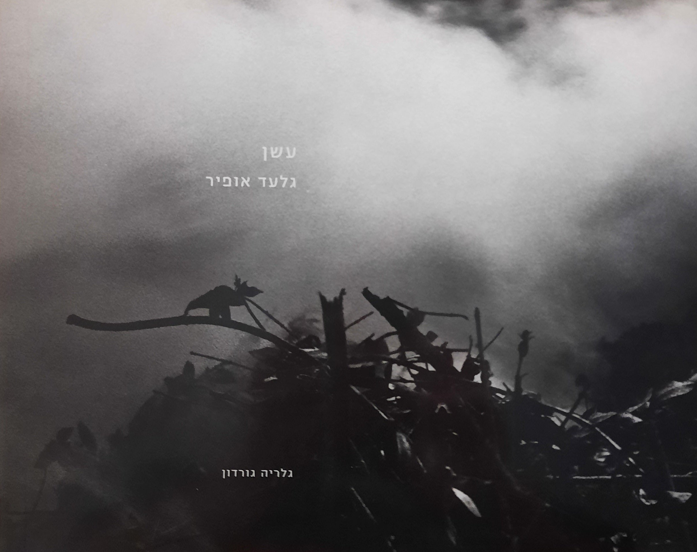 עשן: גלעד אופיר / מבחר עבודות 1995-1997