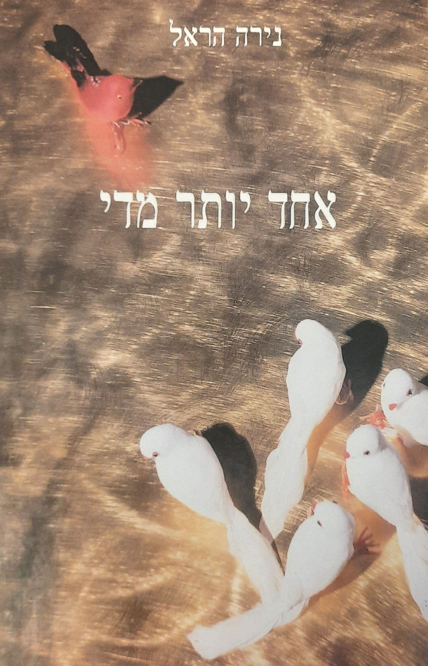 אחד יותר מדי