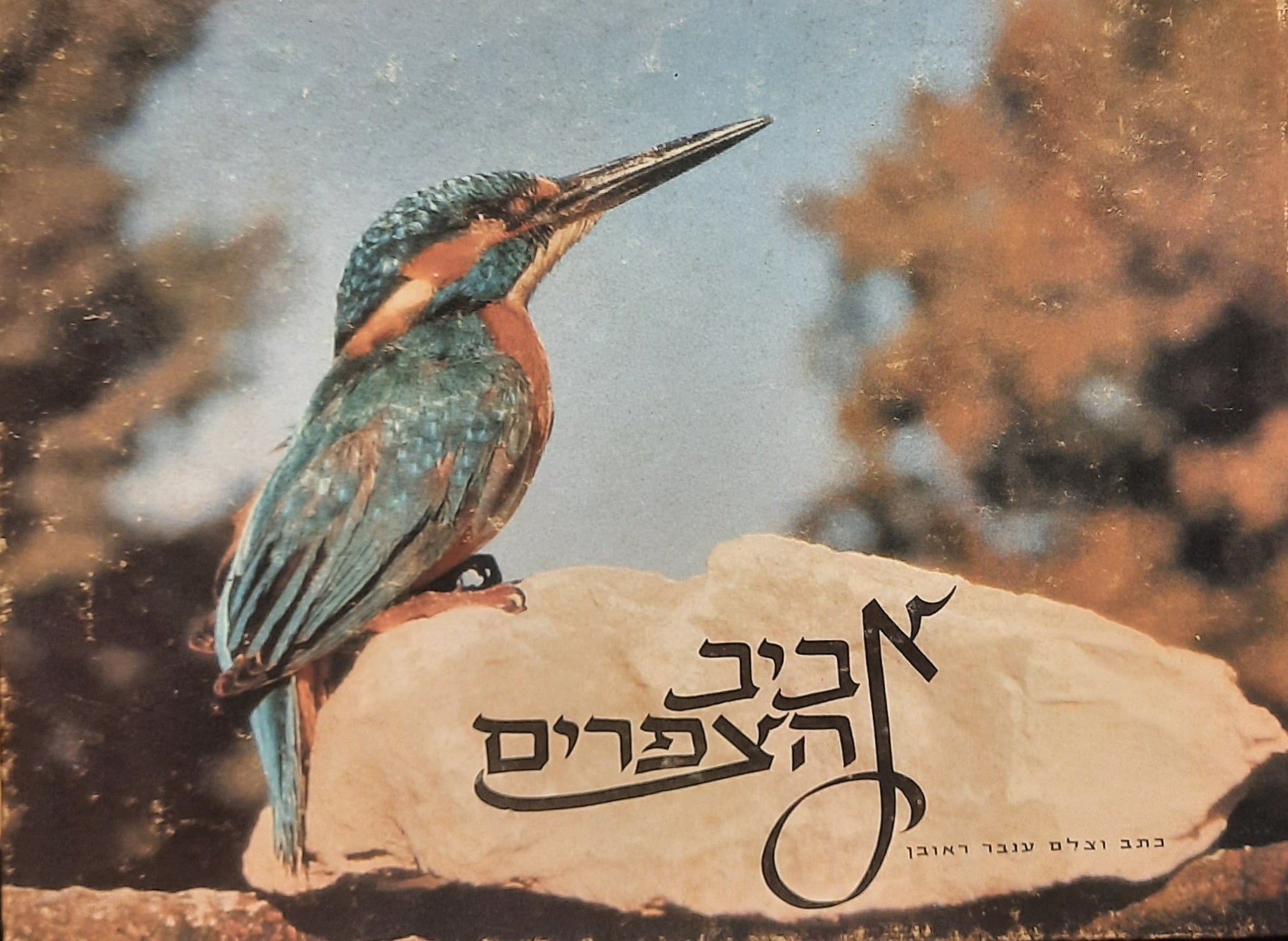 אביב הצפרים