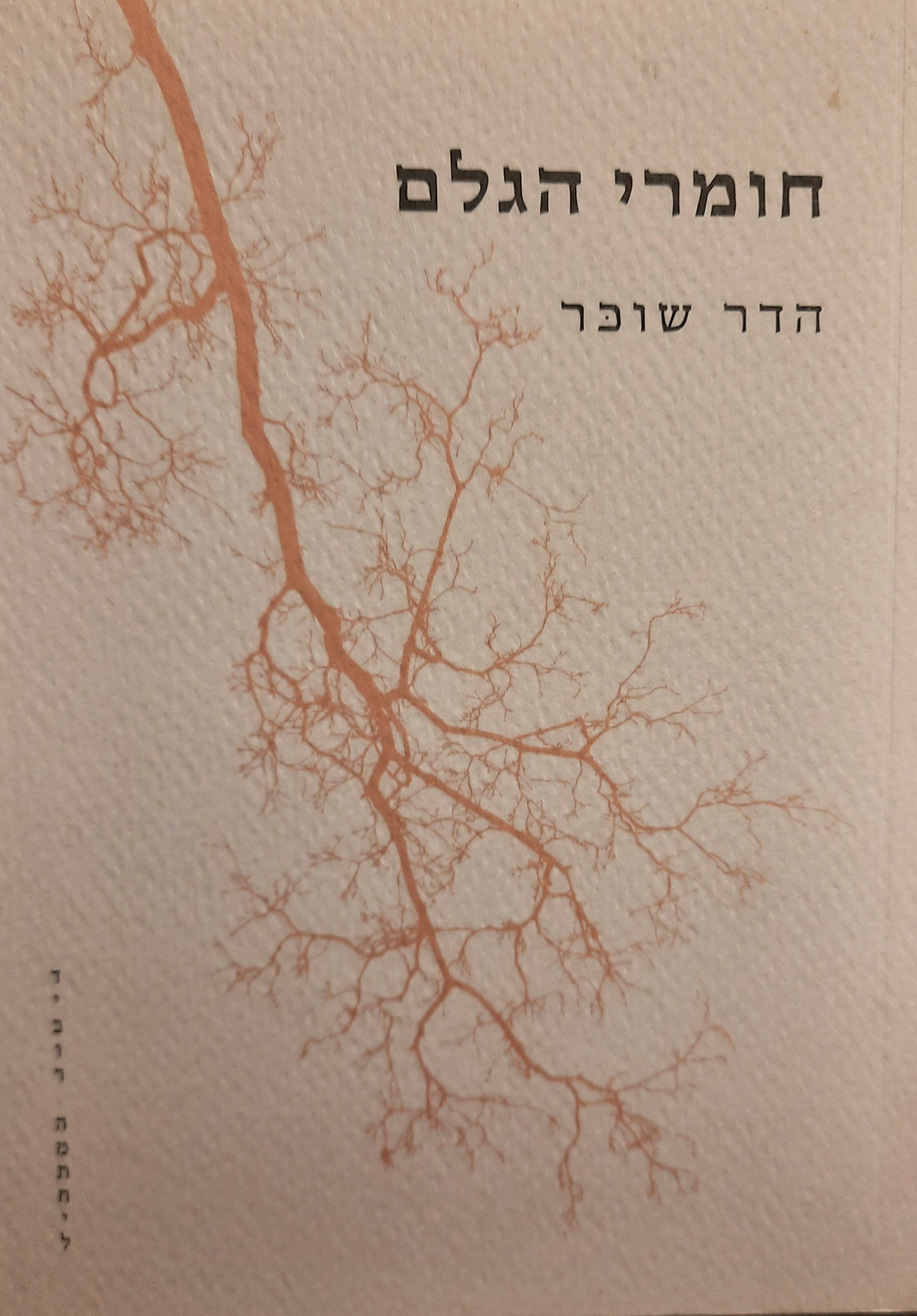 חומרי הגלם