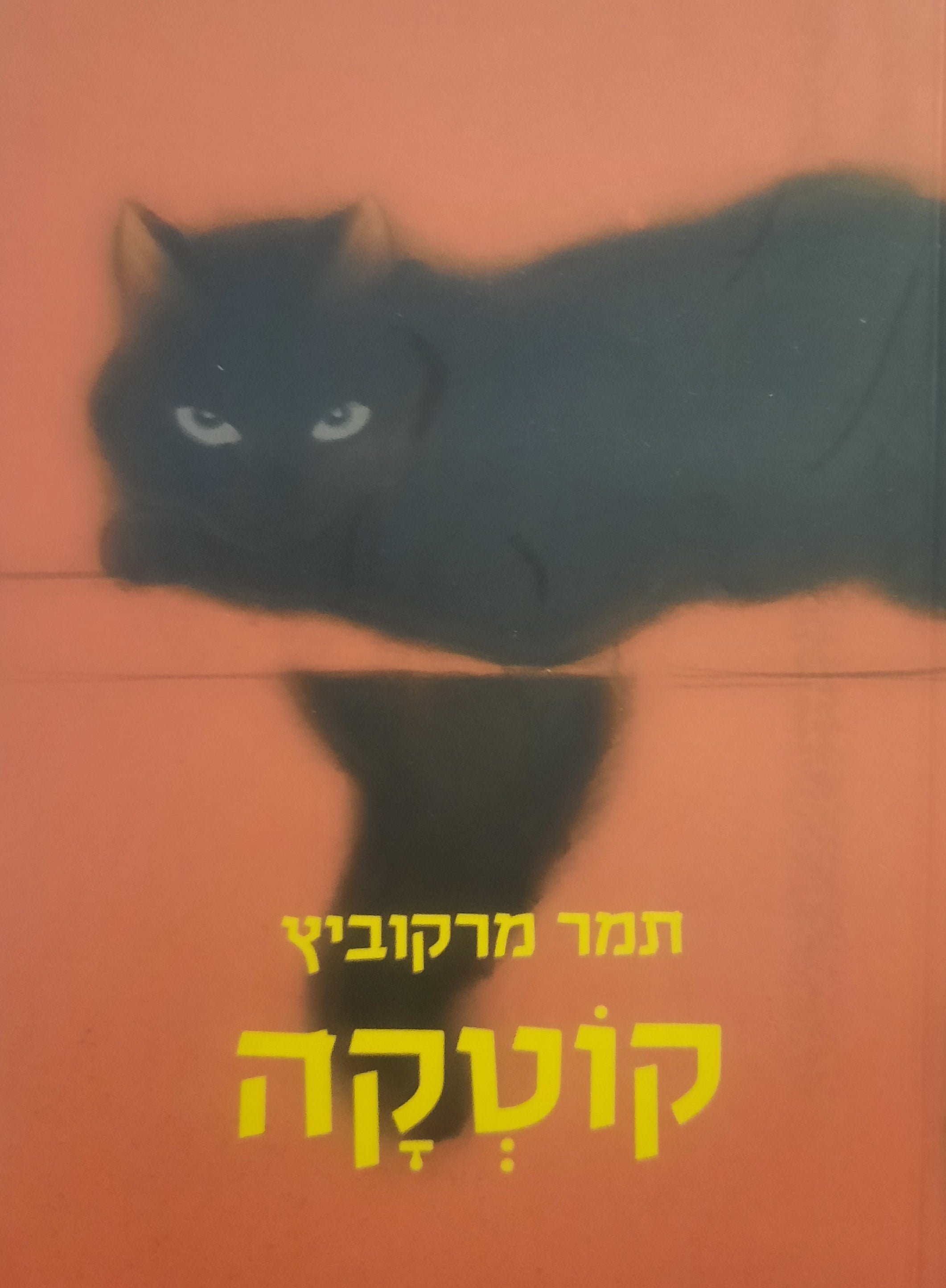 קוטקה