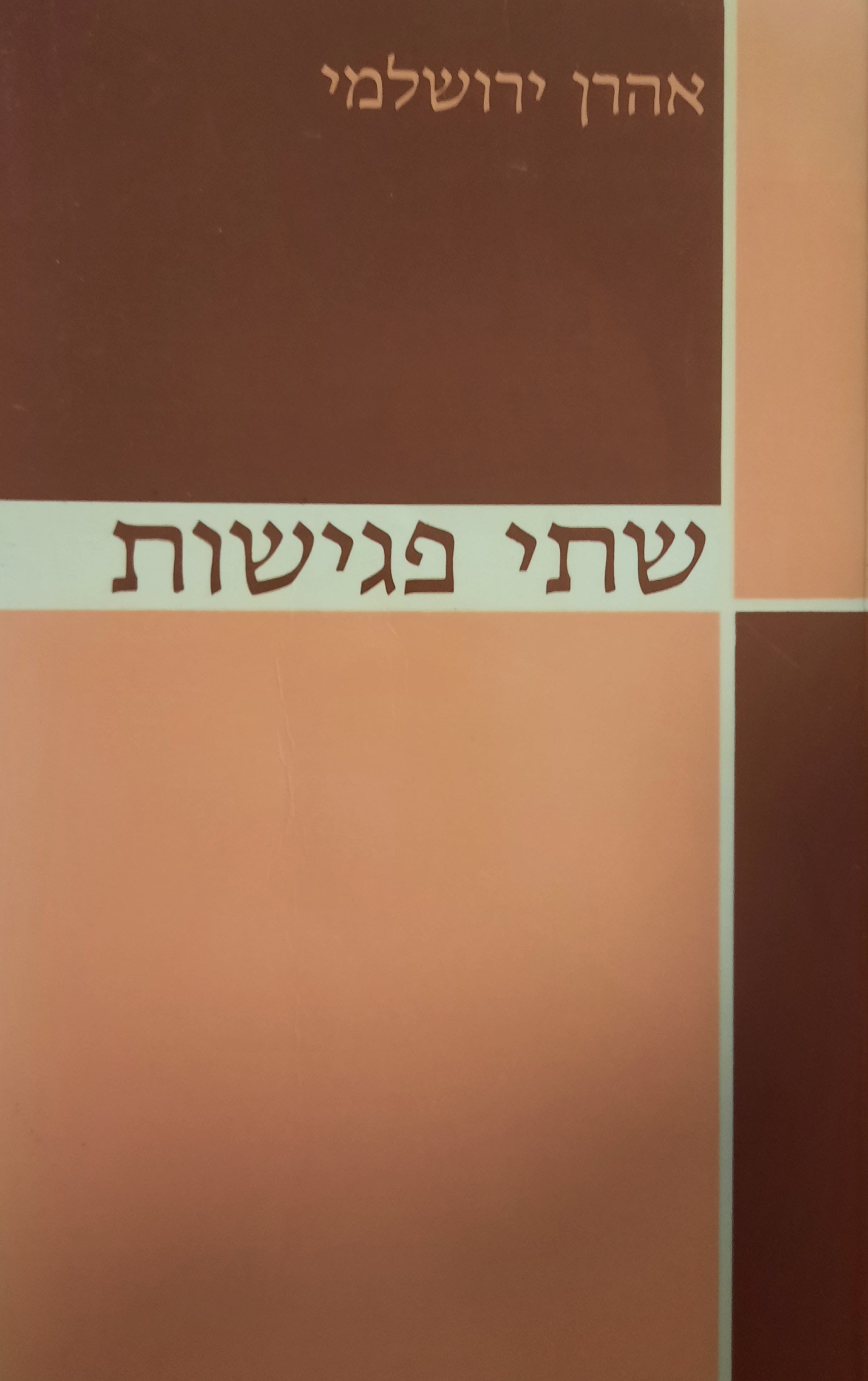 שתי פגישות