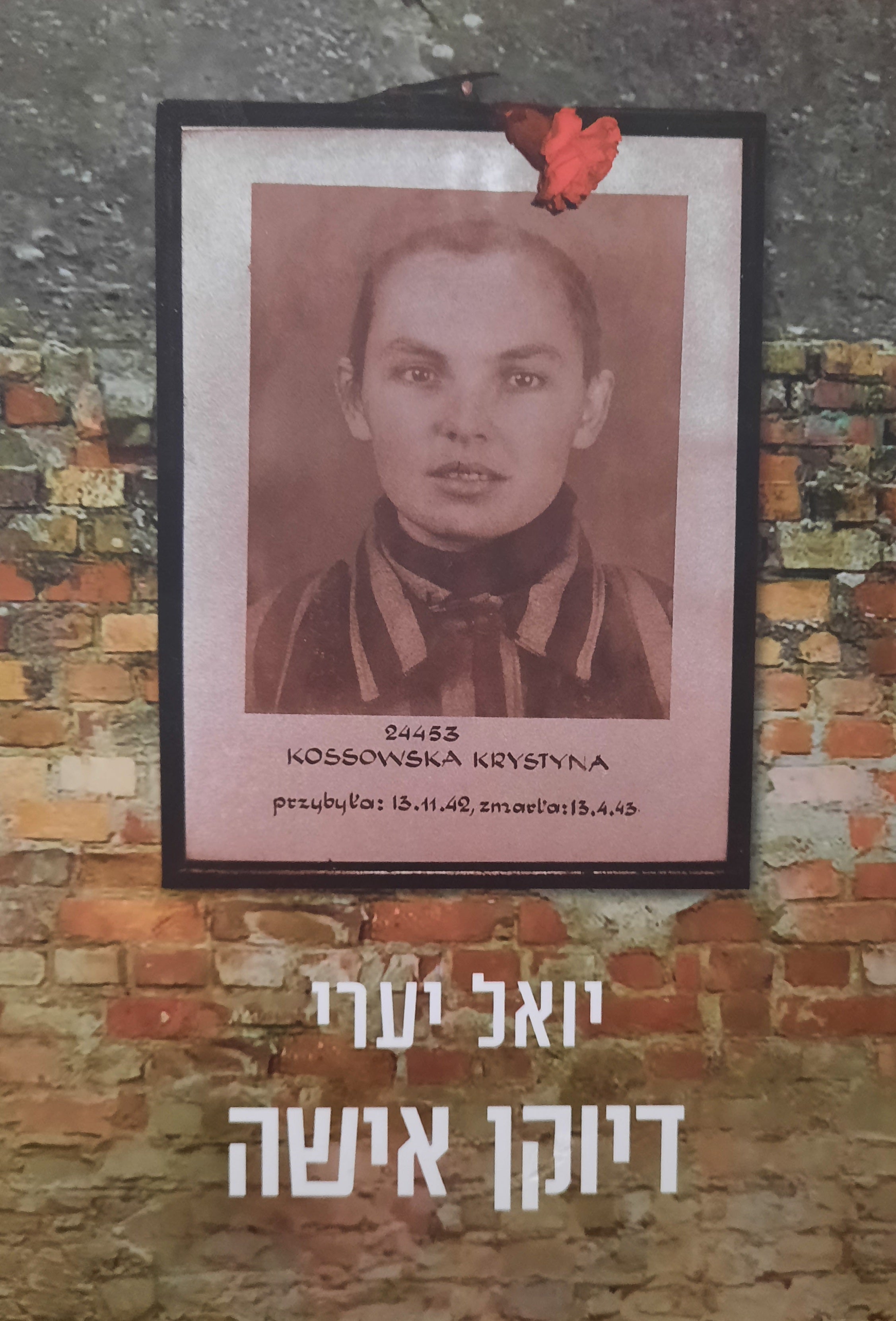 דיוקן אישה