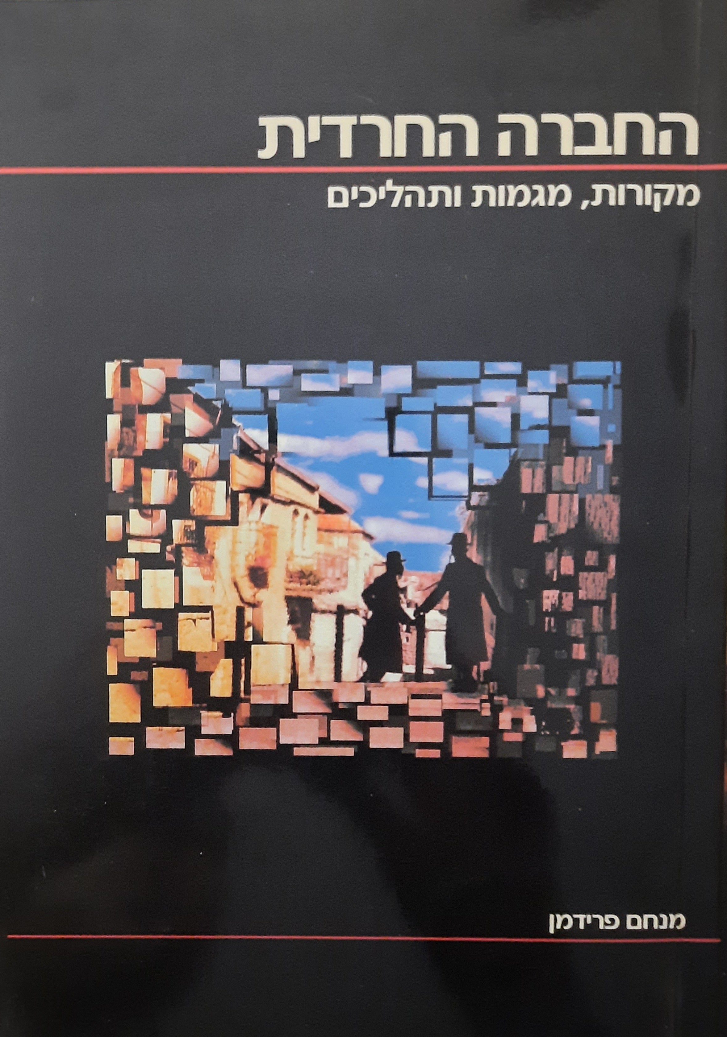 החברה החרדית / מקורות, מגמות ותהליכים
