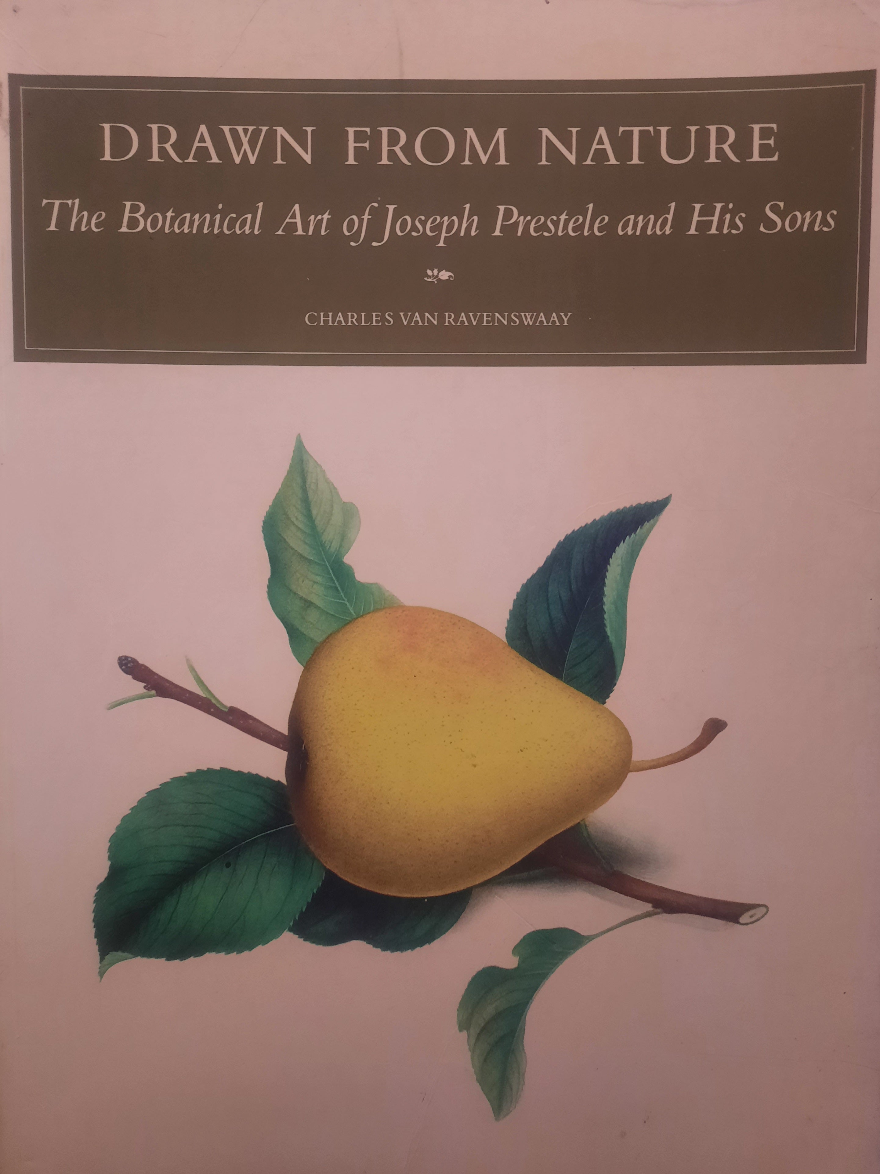 Drawn From Nature: The Botanical Art of Joseph Prestele and His Sons