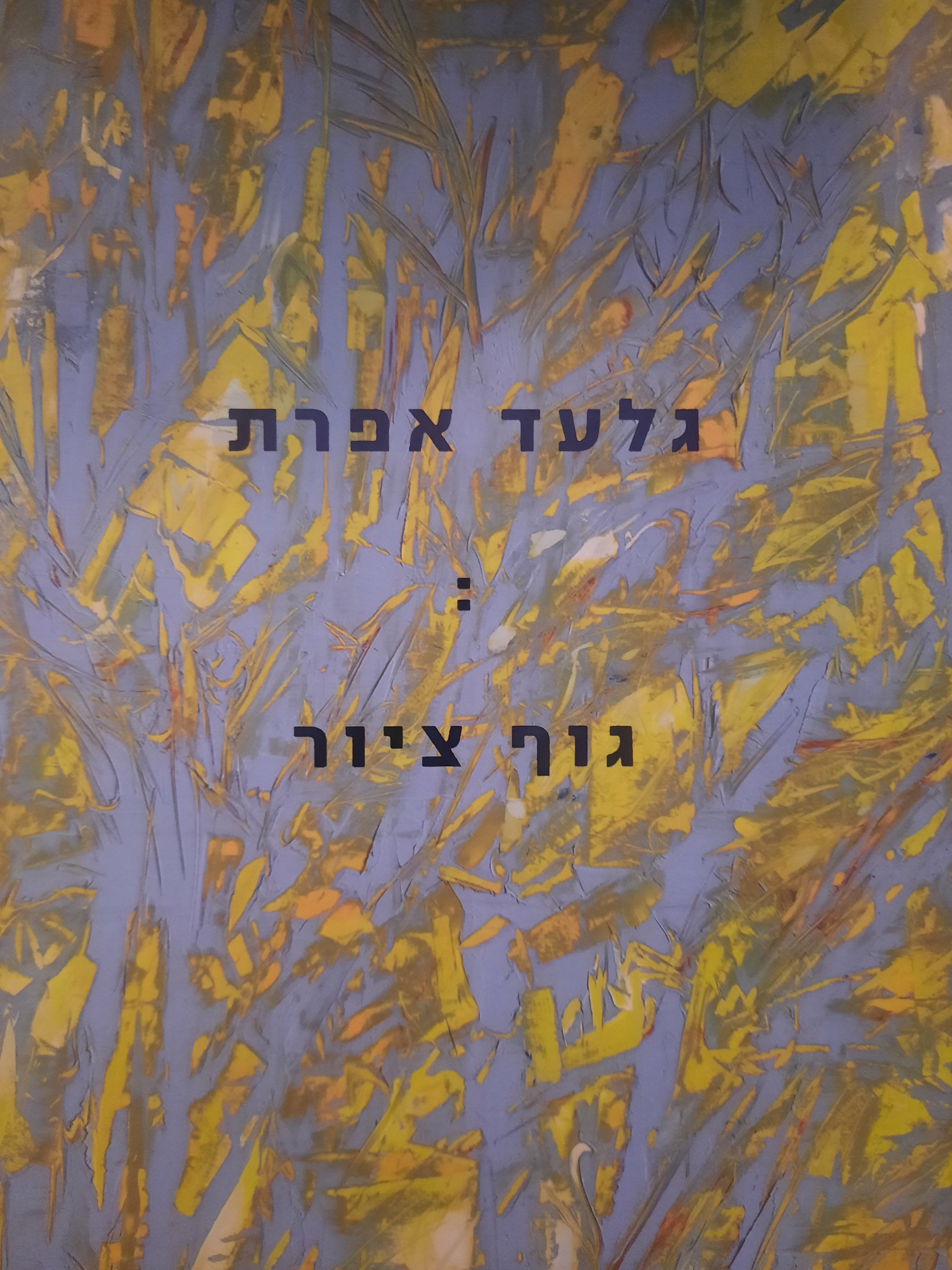 גלעד אפרת / גוף ציור