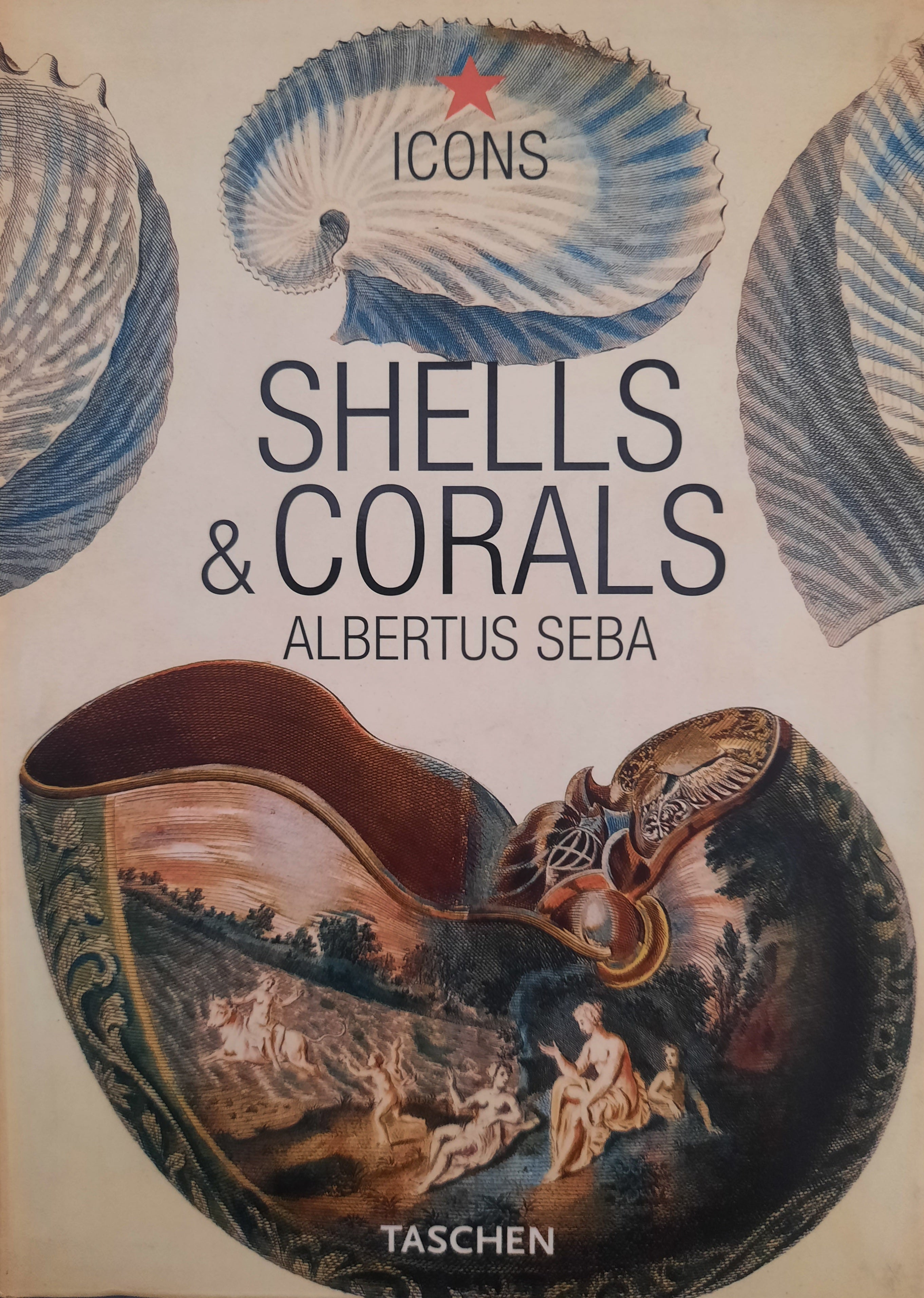 Shells & Corals