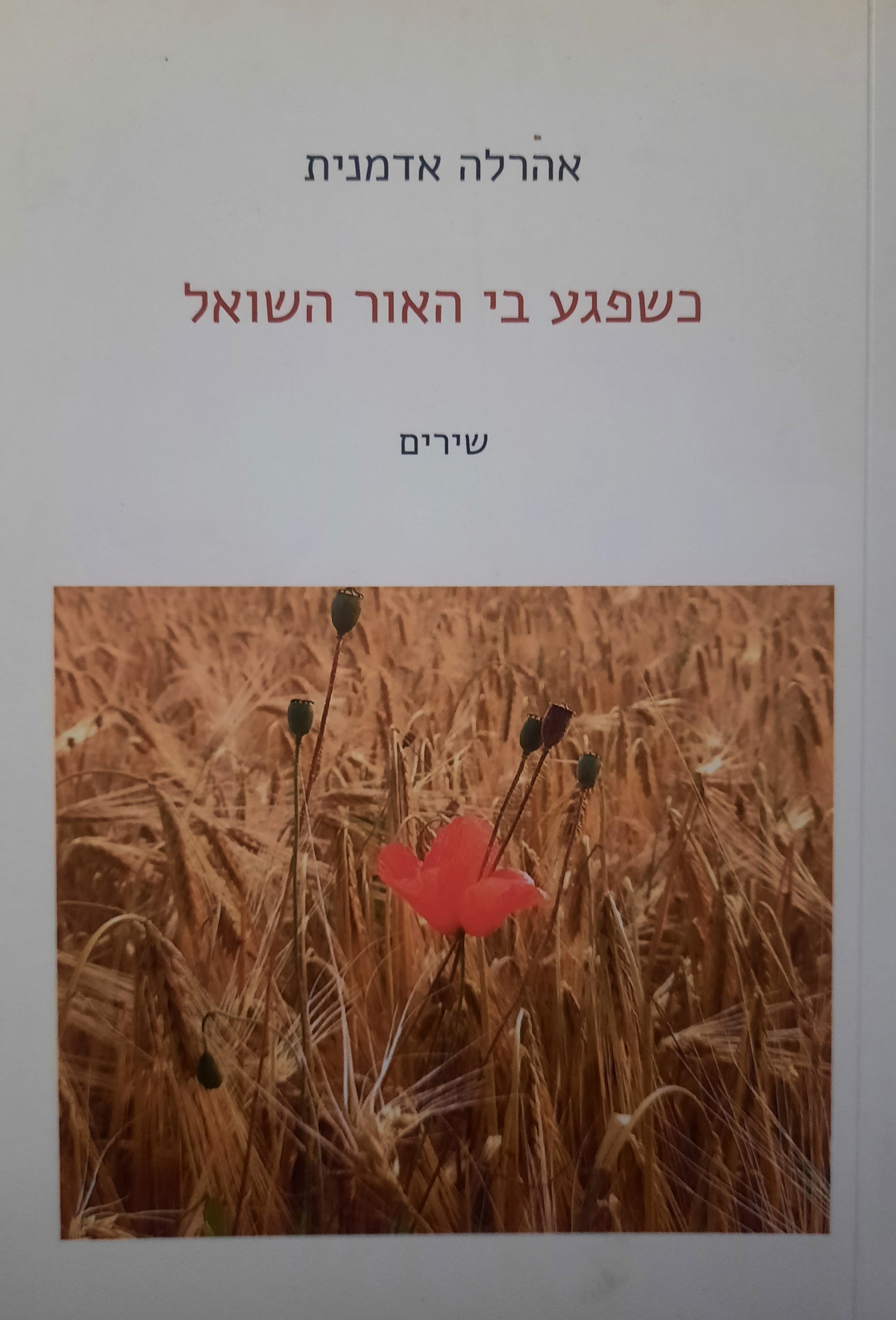 כשפגע בי האור השואל