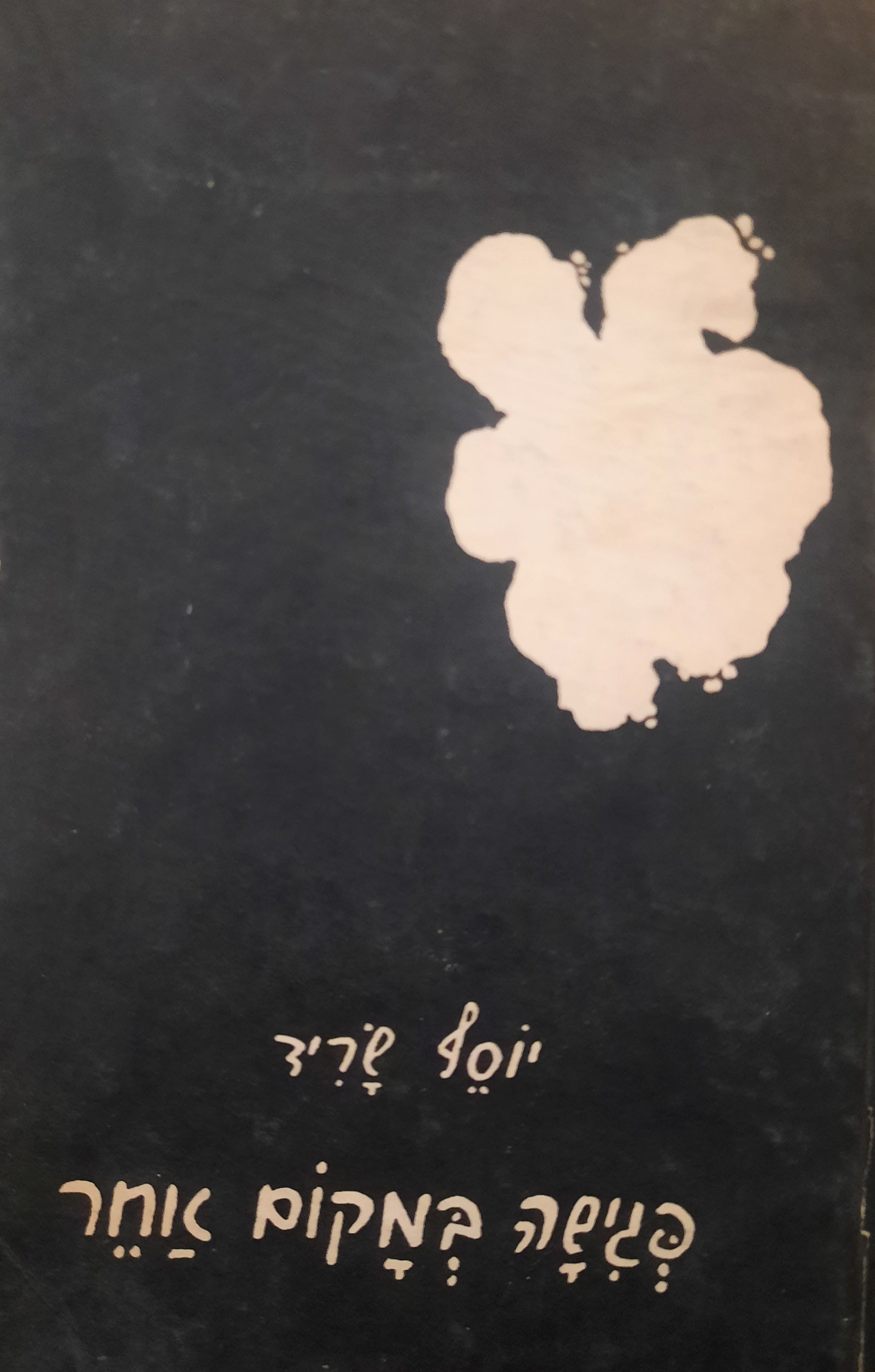 פגישה במקום אחר / שירים
