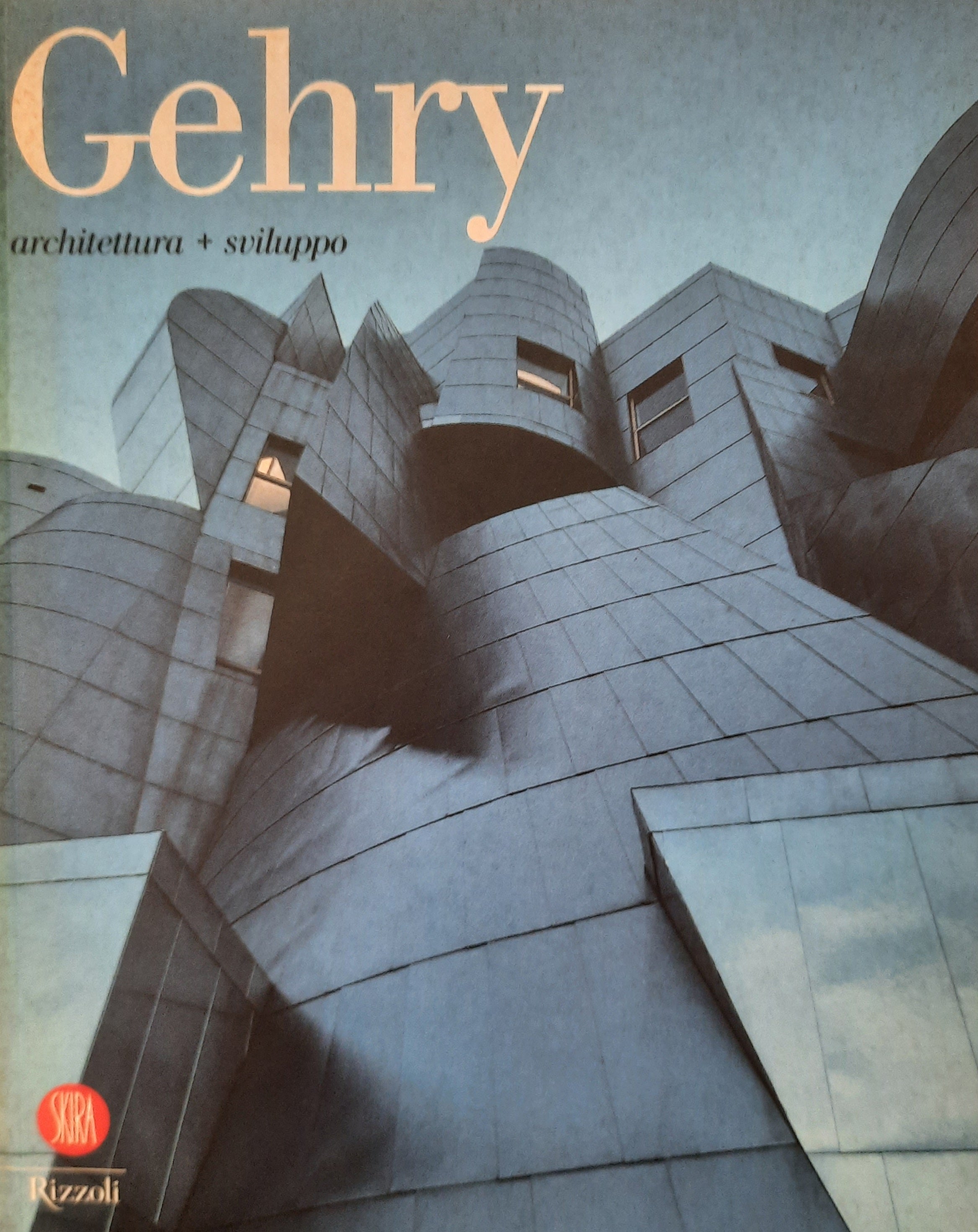 Frank O. Gehry / Architettura + sviluppo
