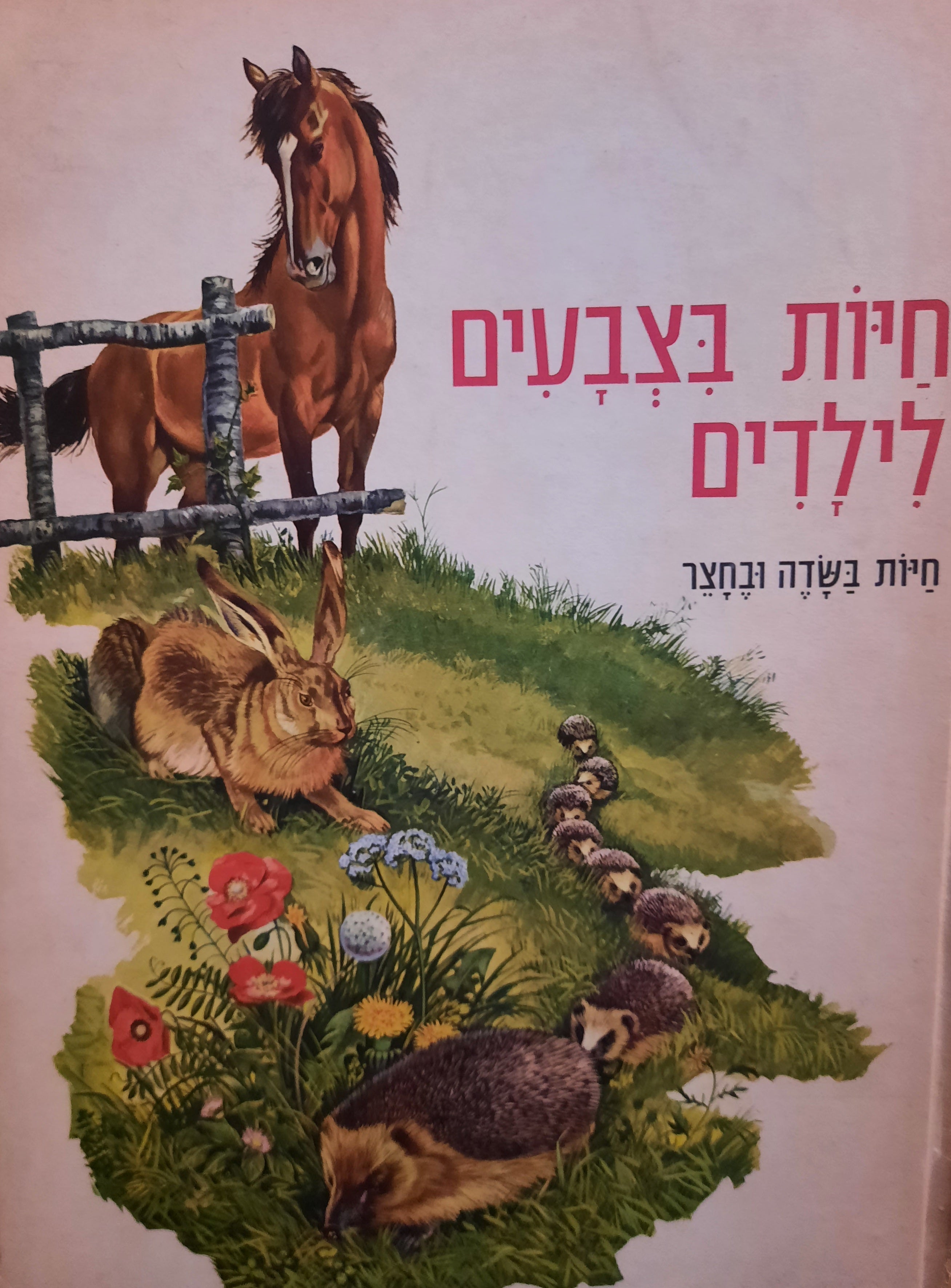 חיות בצבעים לילדים / חיות בשדה ובחצר