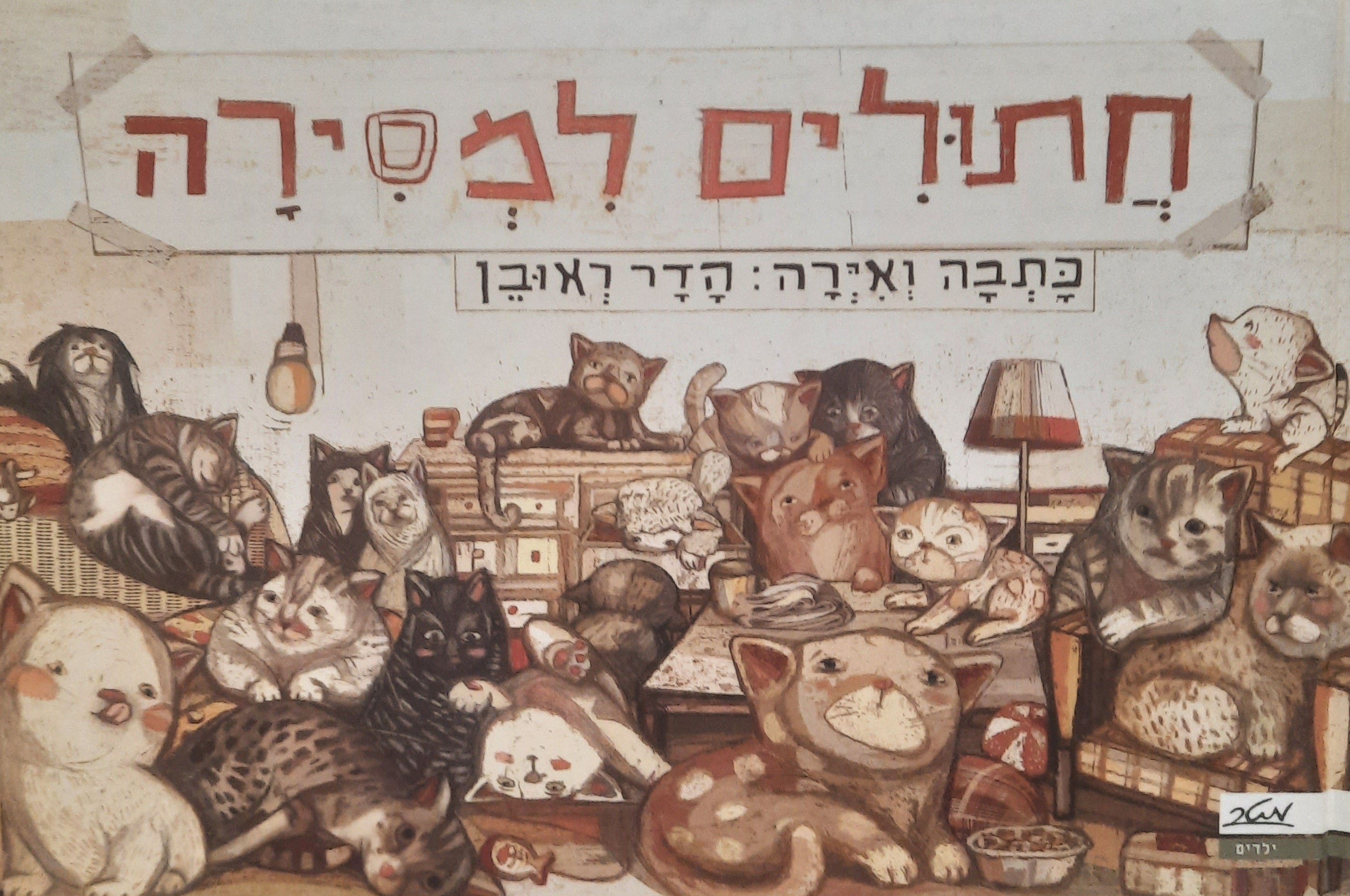 חתולים למסירה