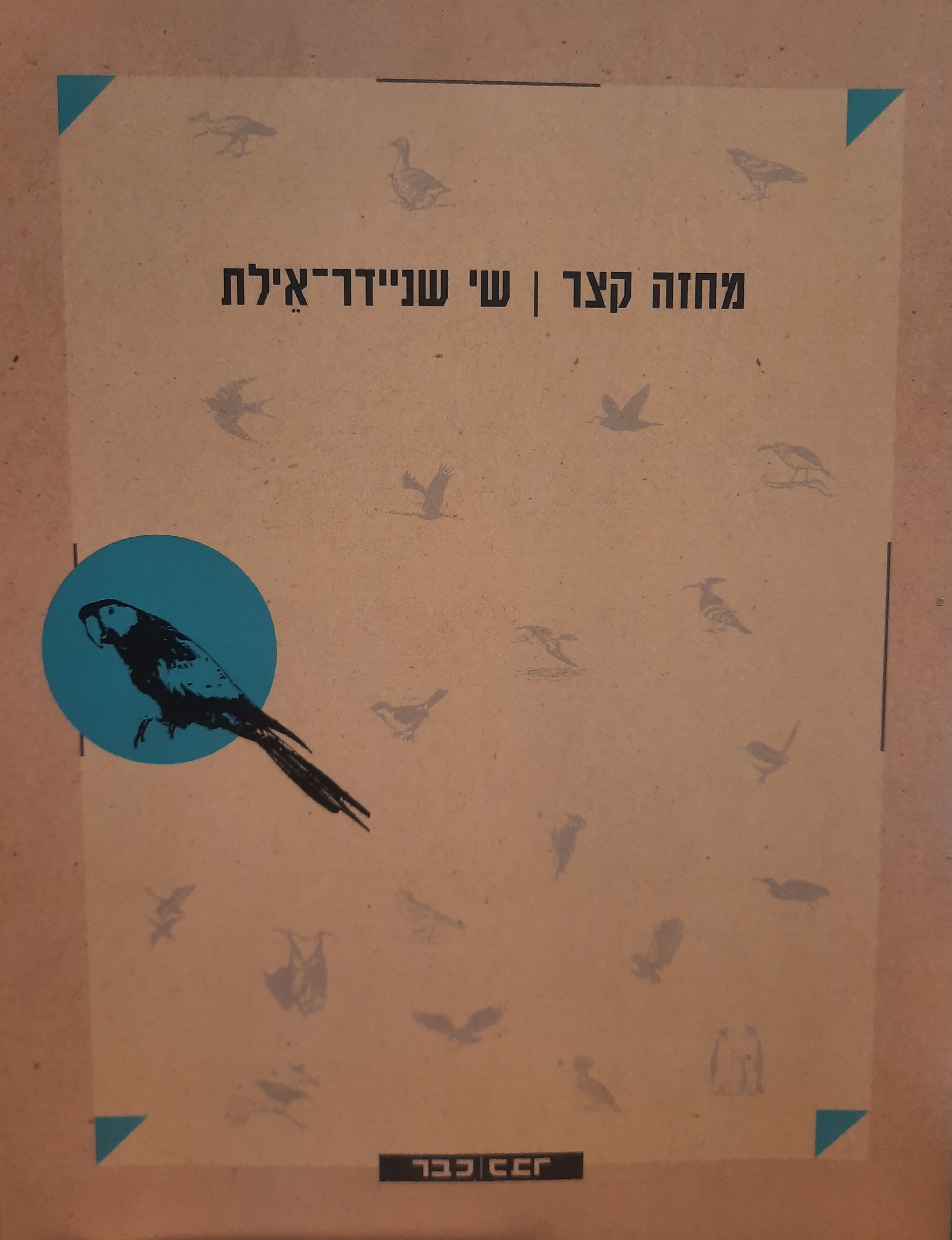 מחזה קצר
