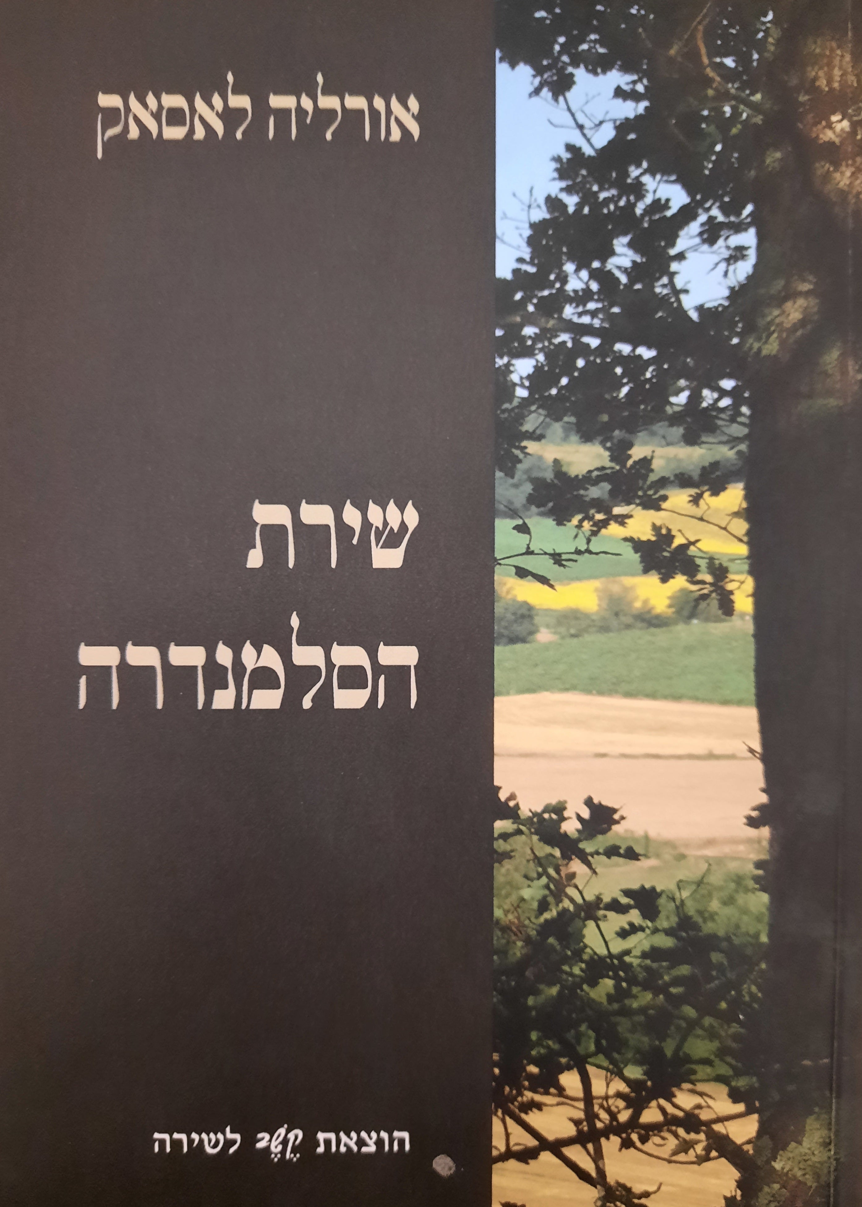 שירת הסלמנדרה