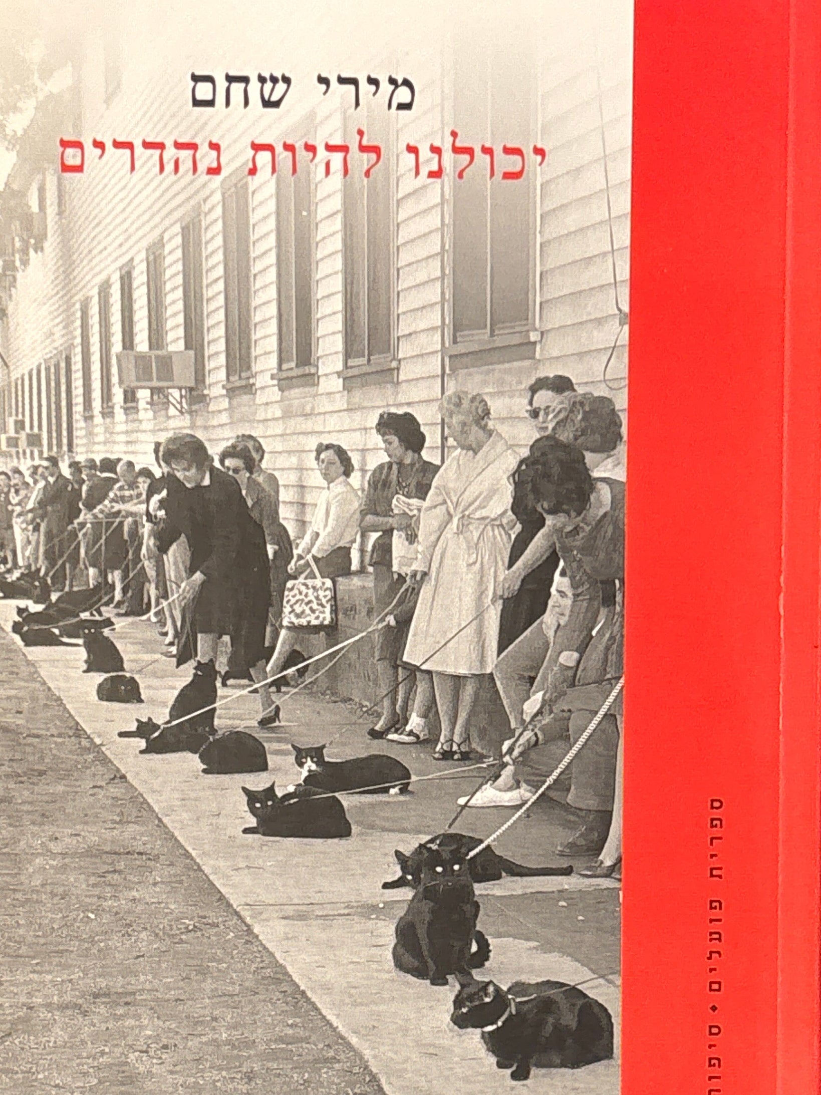 יכולנו להיות נהדרים / סיפורים