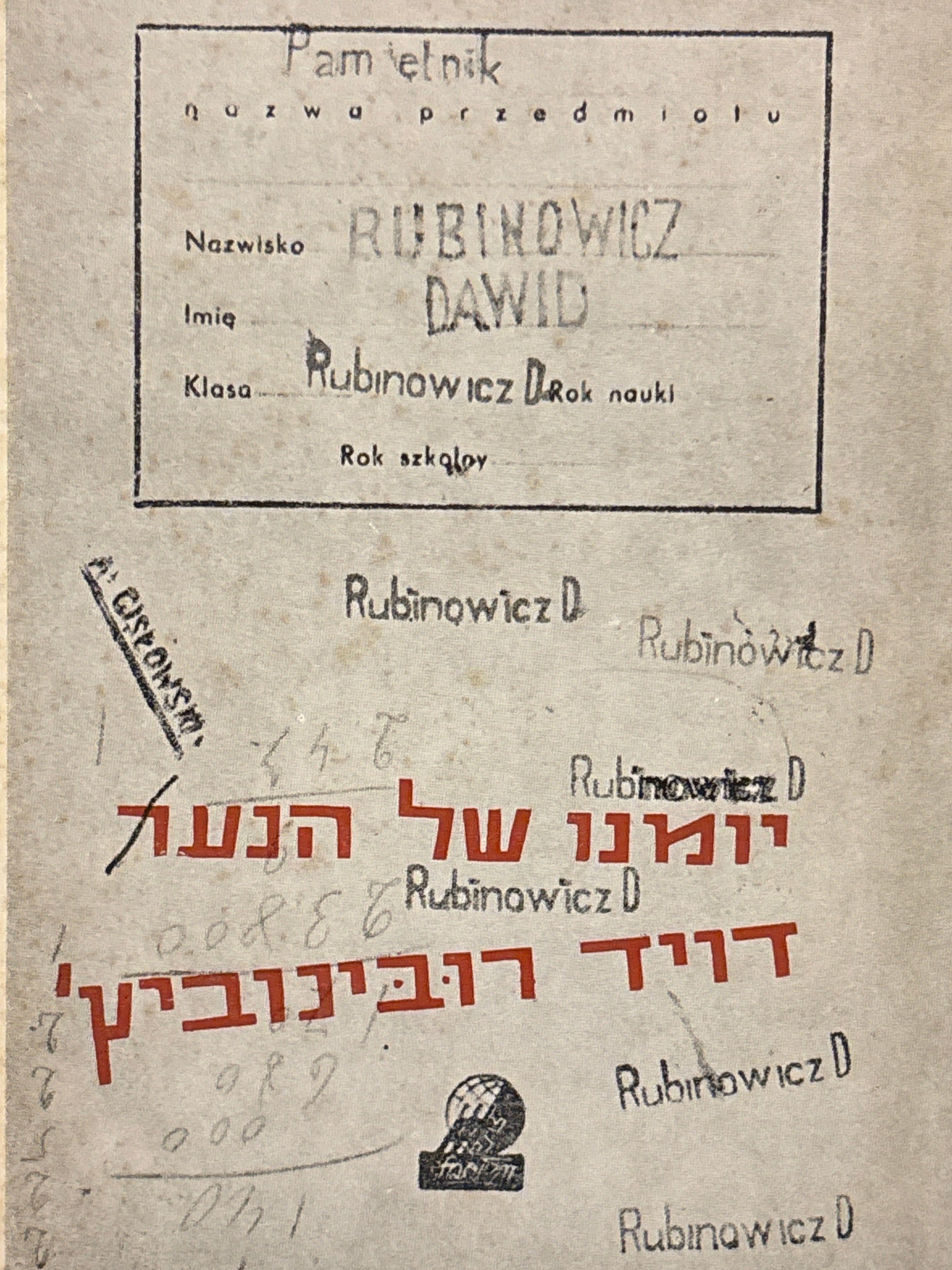 יומנו של הנער דויד רובינוביץ'