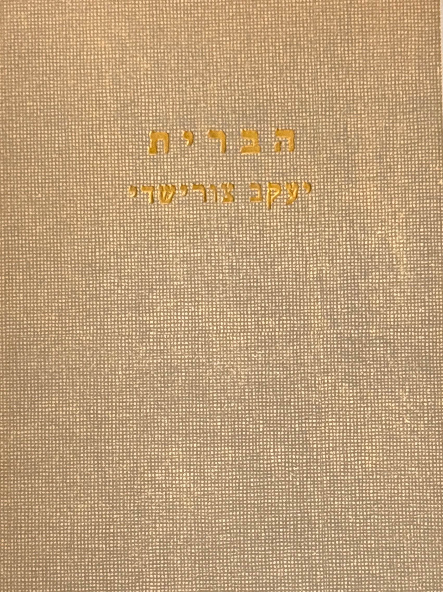 הברית / דברי בקרת על "ברית החדשה" הנמצאים בספרות ישראל העתיקה והחדשה / מלוקט ומחובר ע"ד יעקב צורישדי