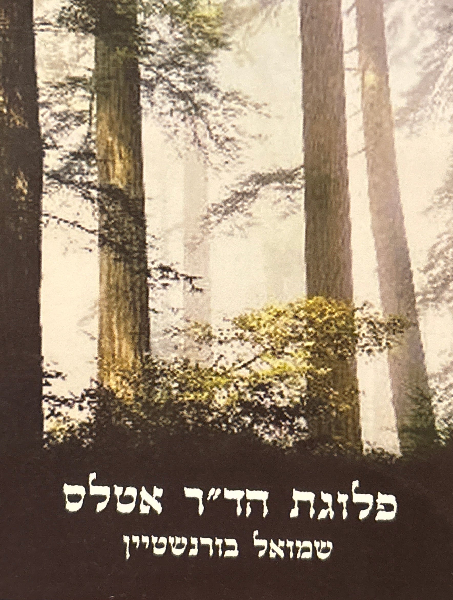 פלוגת הד"ר אטלס / סיפורו של פרטיזן יהודי